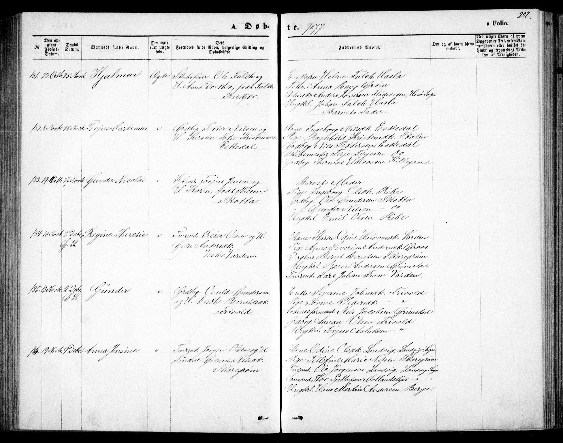 Fjære sokneprestkontor, AV/SAK-1111-0011/F/Fb/L0010: Klokkerbok nr. B 10, 1871-1880, s. 207