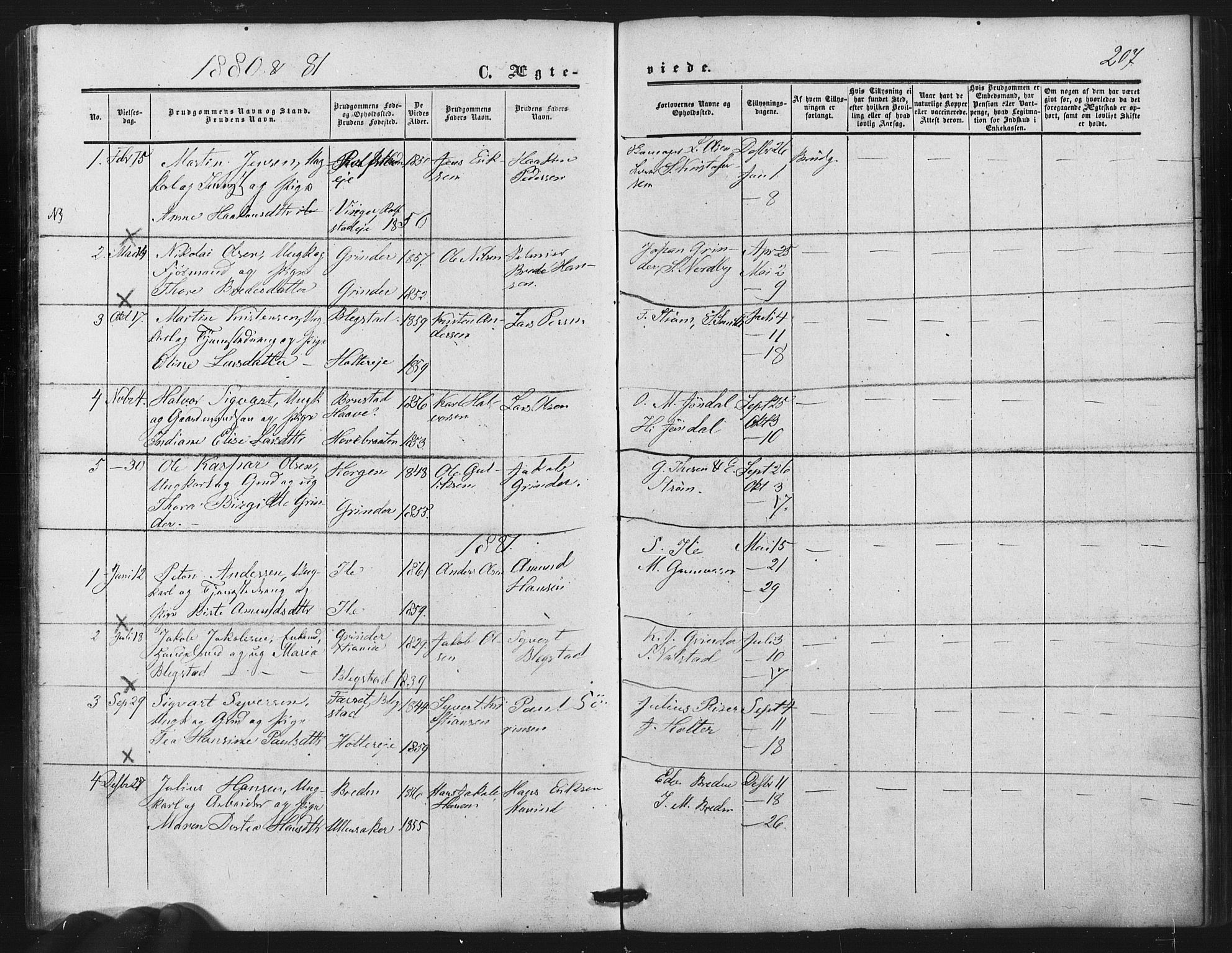 Nes prestekontor Kirkebøker, AV/SAO-A-10410/F/Fb/L0001: Ministerialbok nr. II 1, 1859-1882, s. 207