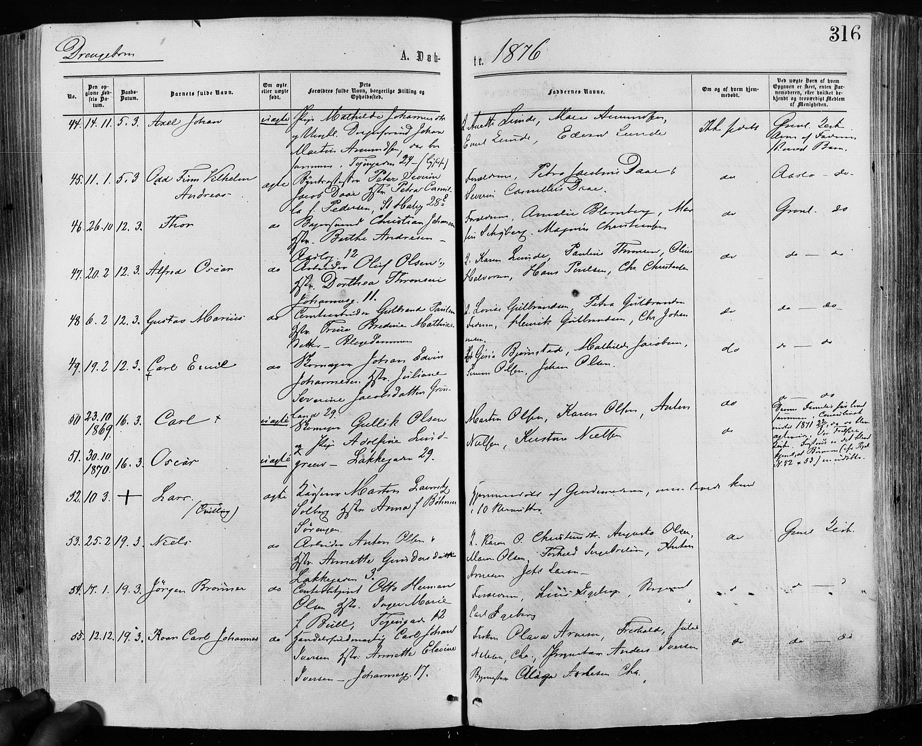 Grønland prestekontor Kirkebøker, SAO/A-10848/F/Fa/L0004: Ministerialbok nr. 4, 1869-1880, s. 316