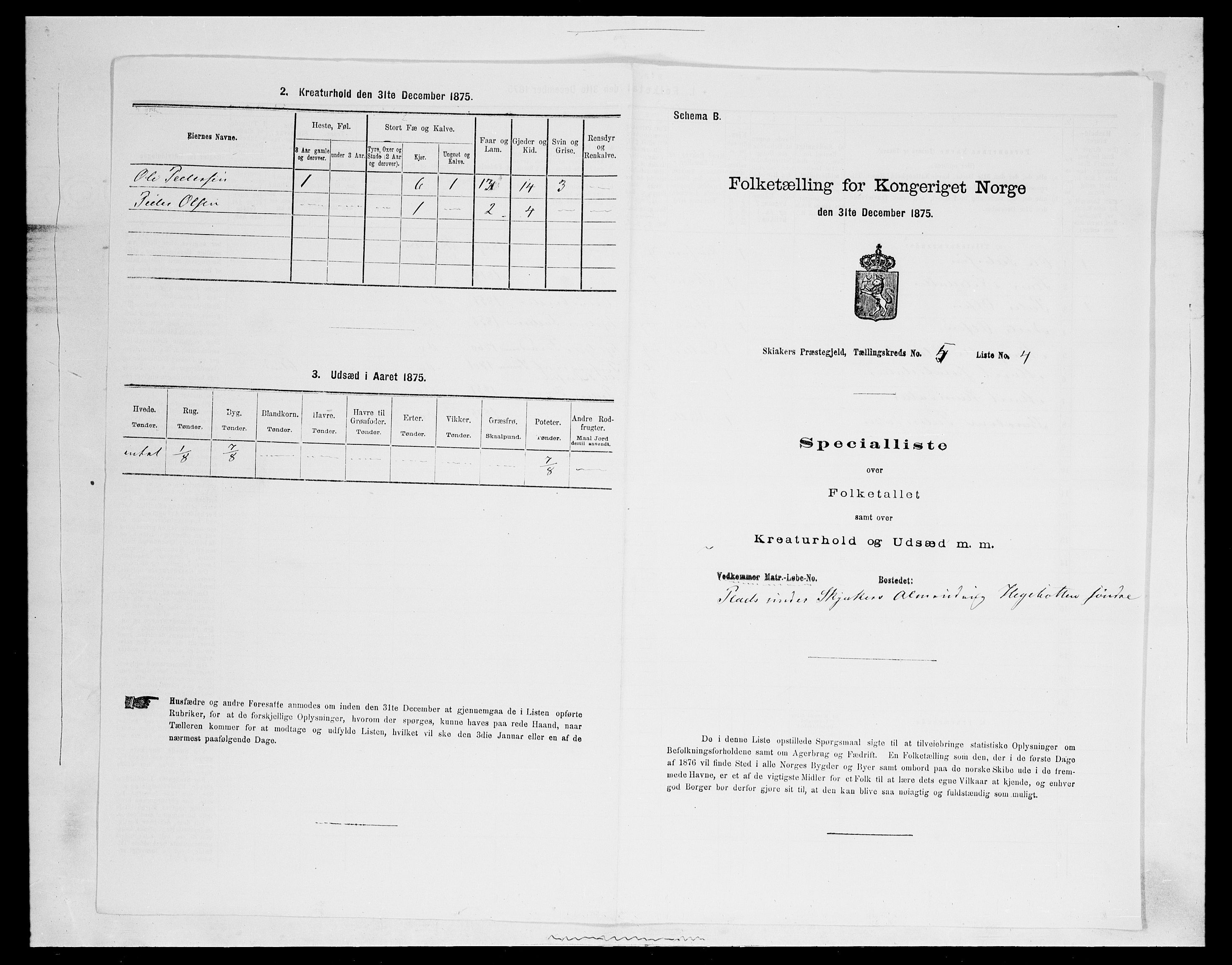 SAH, Folketelling 1875 for 0513P Skjåk prestegjeld, 1875, s. 721