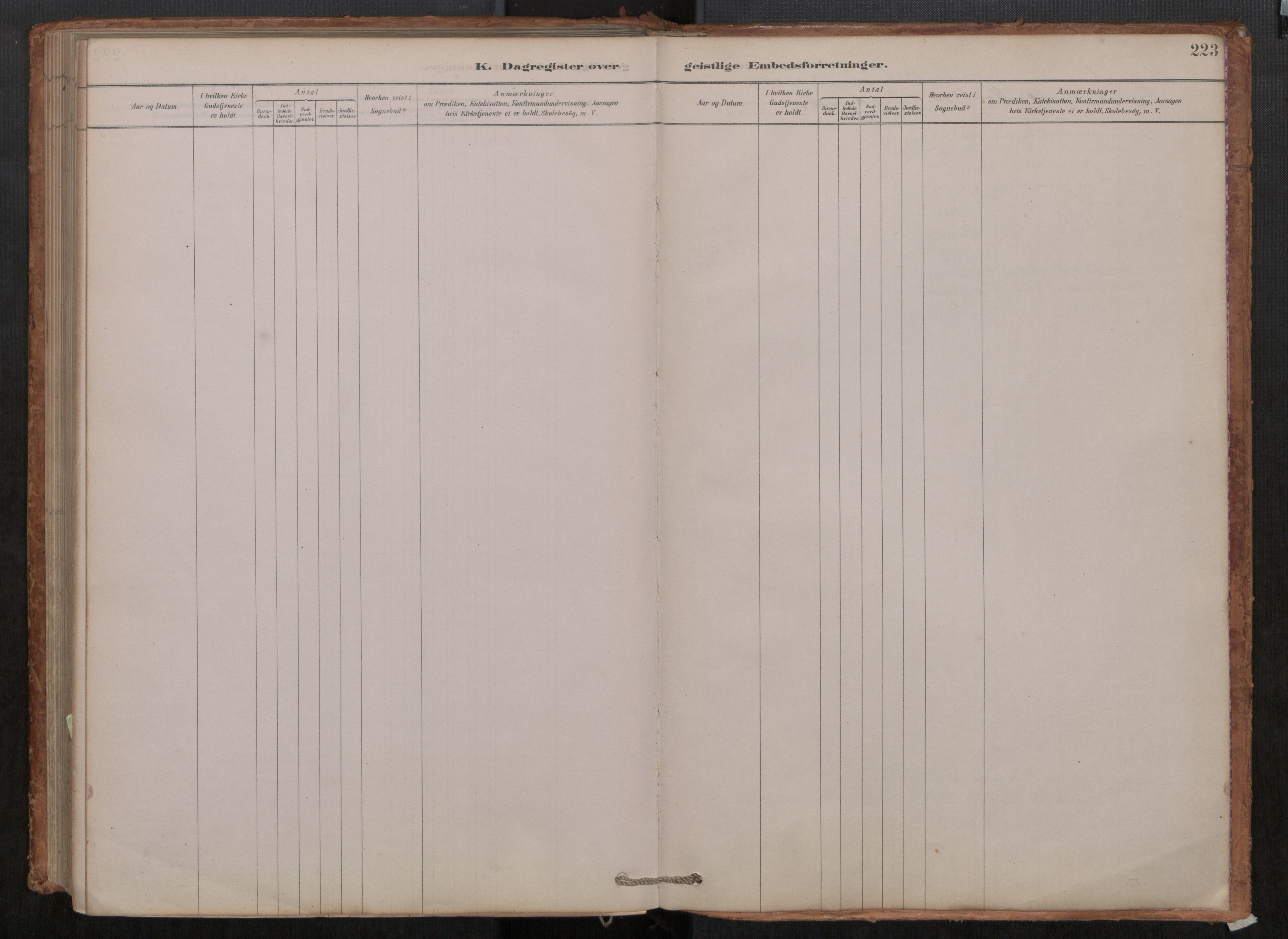 Ministerialprotokoller, klokkerbøker og fødselsregistre - Møre og Romsdal, SAT/A-1454/550/L0621: Ministerialbok nr. 550A01, 1878-1915, s. 223