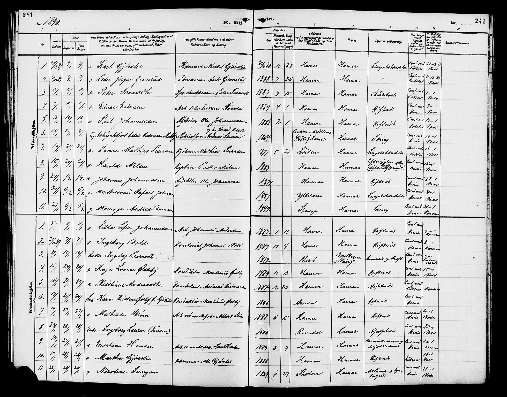 Vang prestekontor, Hedmark, AV/SAH-PREST-008/H/Ha/Hab/L0013: Klokkerbok nr. 13, 1890-1899, s. 241