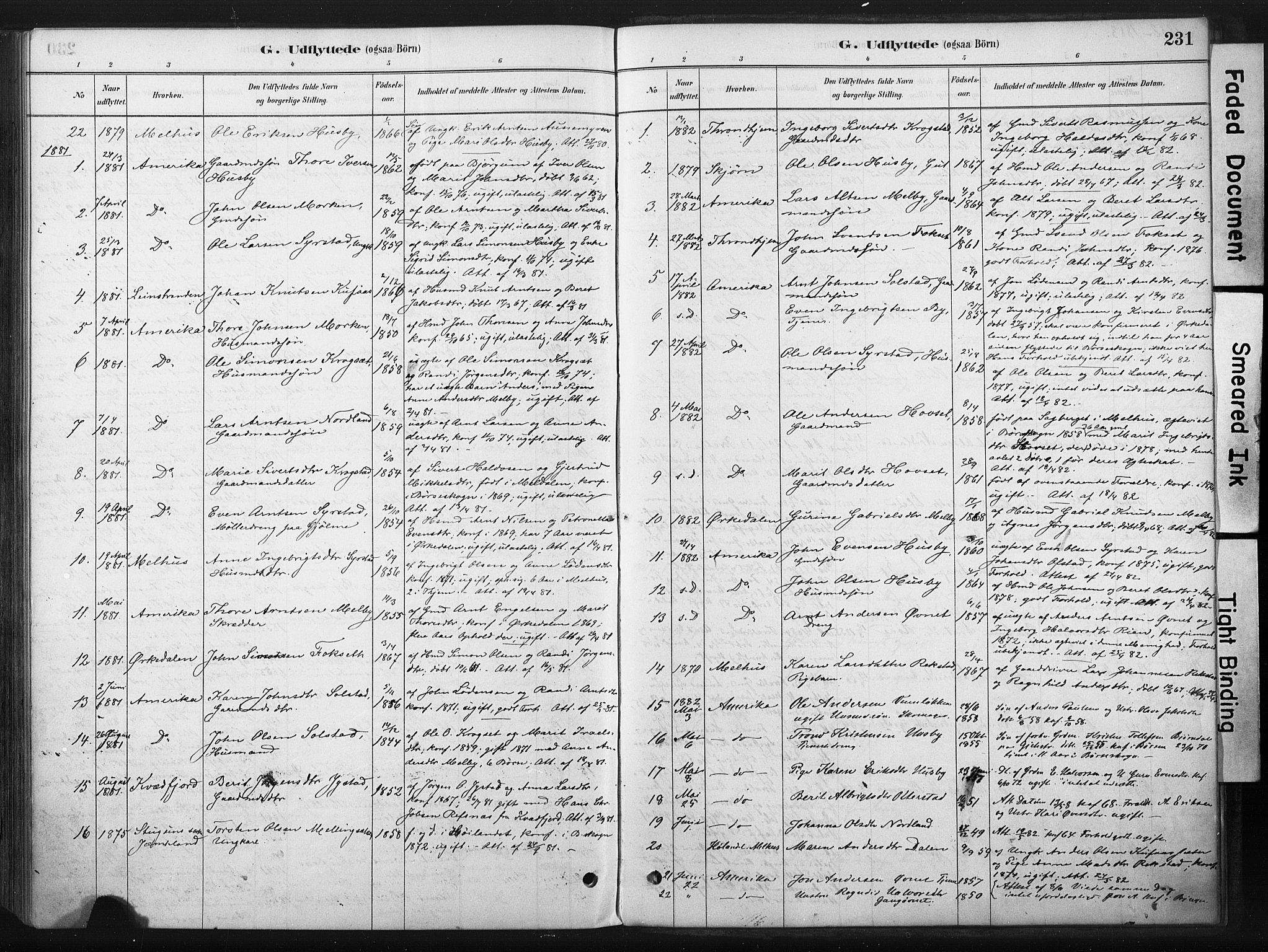 Ministerialprotokoller, klokkerbøker og fødselsregistre - Sør-Trøndelag, AV/SAT-A-1456/667/L0795: Ministerialbok nr. 667A03, 1879-1907, s. 231