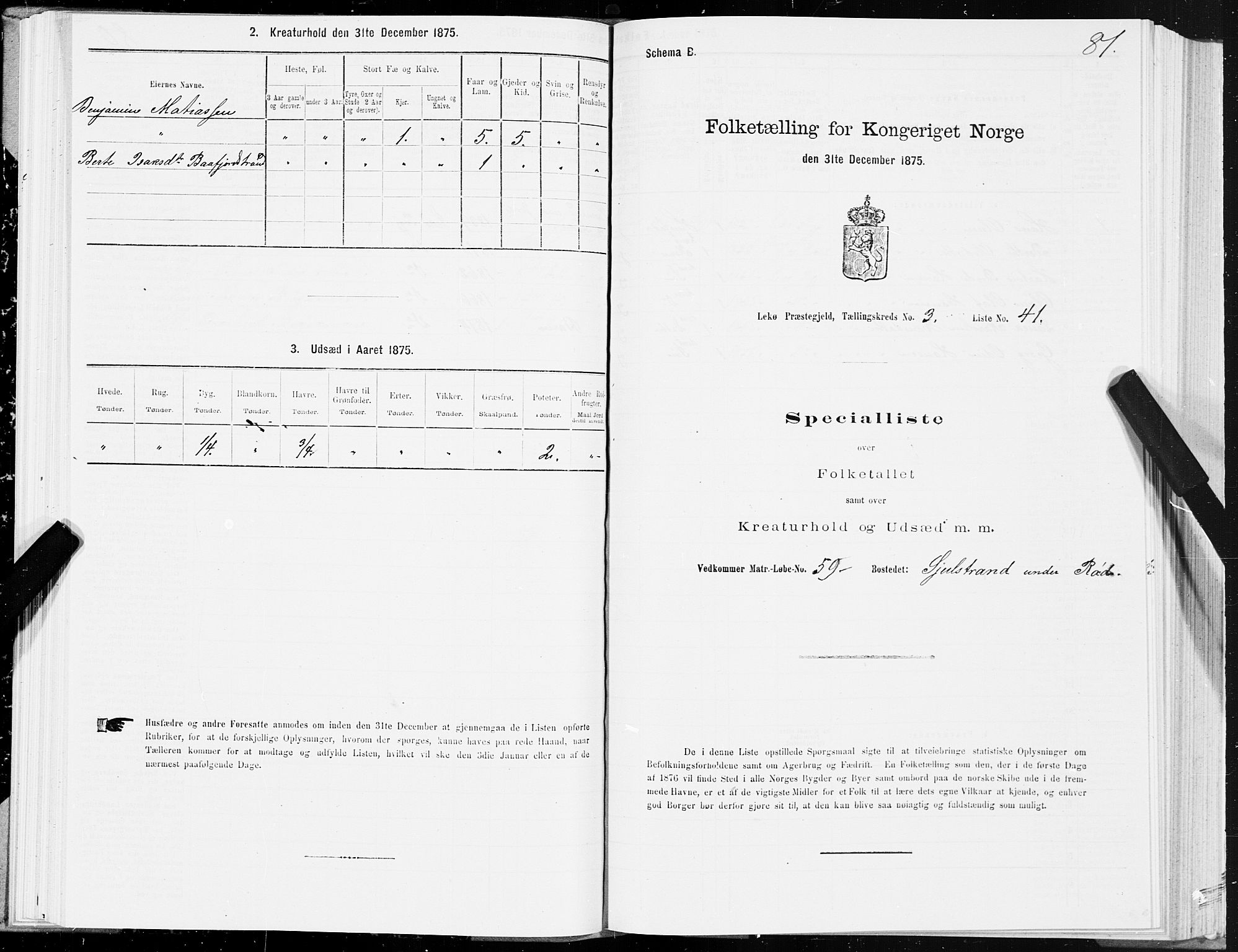 SAT, Folketelling 1875 for 1755P Leka prestegjeld, 1875, s. 2081