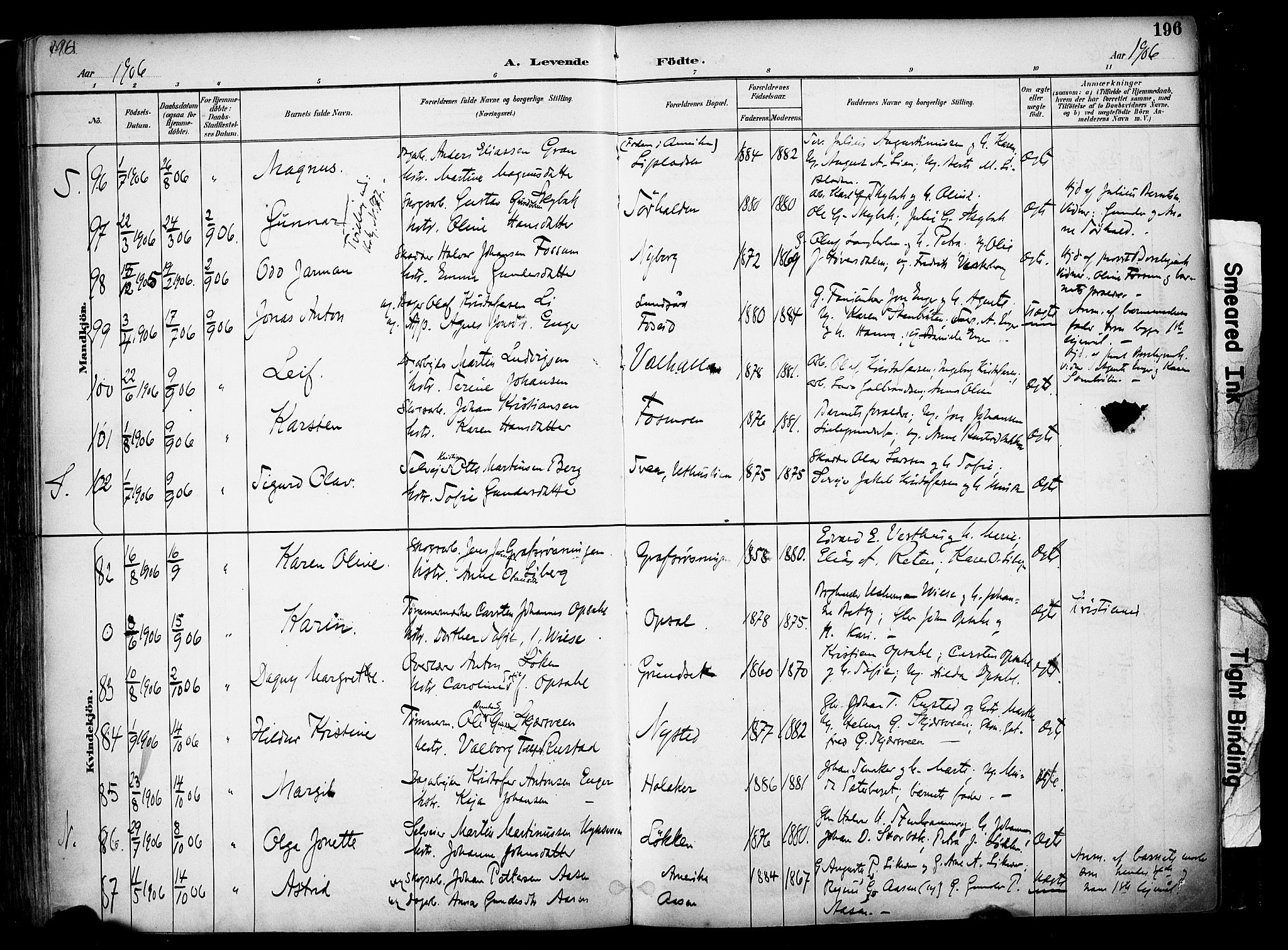 Elverum prestekontor, AV/SAH-PREST-044/H/Ha/Haa/L0014: Ministerialbok nr. 14, 1891-1909, s. 196