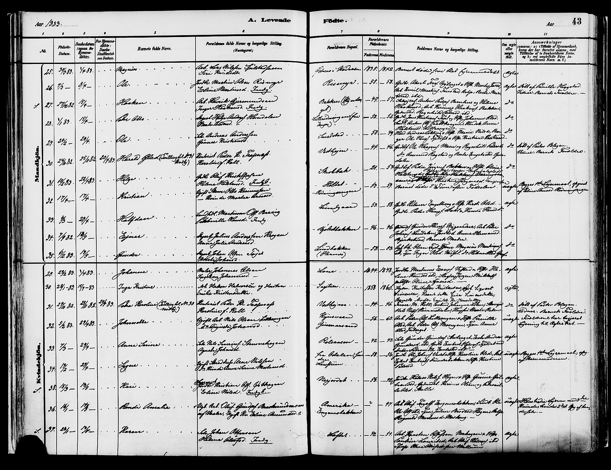 Elverum prestekontor, AV/SAH-PREST-044/H/Ha/Haa/L0013: Ministerialbok nr. 13, 1880-1890, s. 43