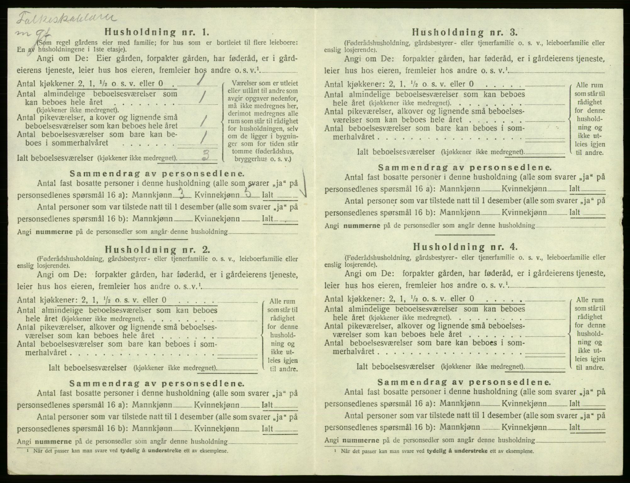 SAB, Folketelling 1920 for 1239 Hålandsdal herred, 1920, s. 156