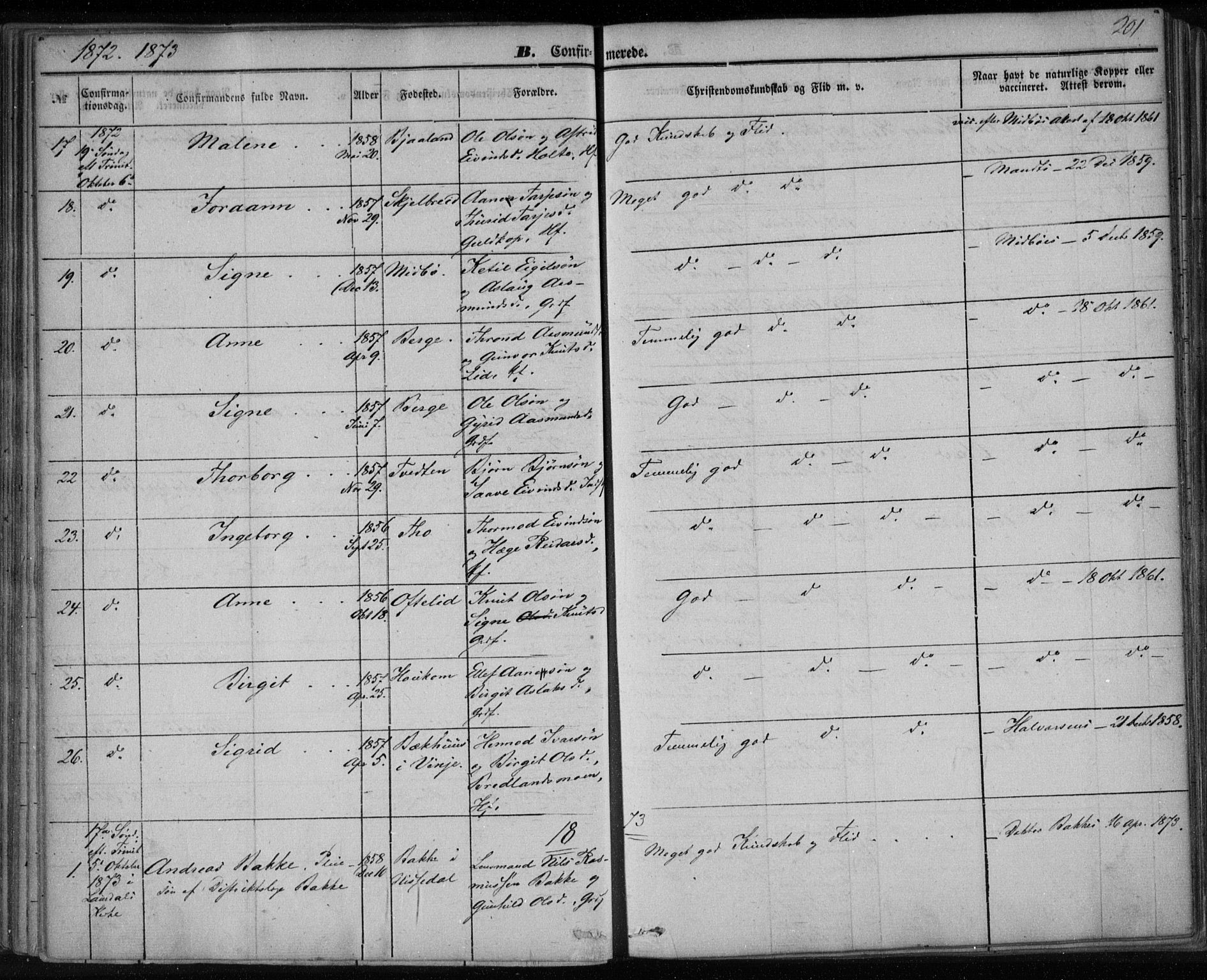 Lårdal kirkebøker, AV/SAKO-A-284/F/Fa/L0006: Ministerialbok nr. I 6, 1861-1886, s. 201