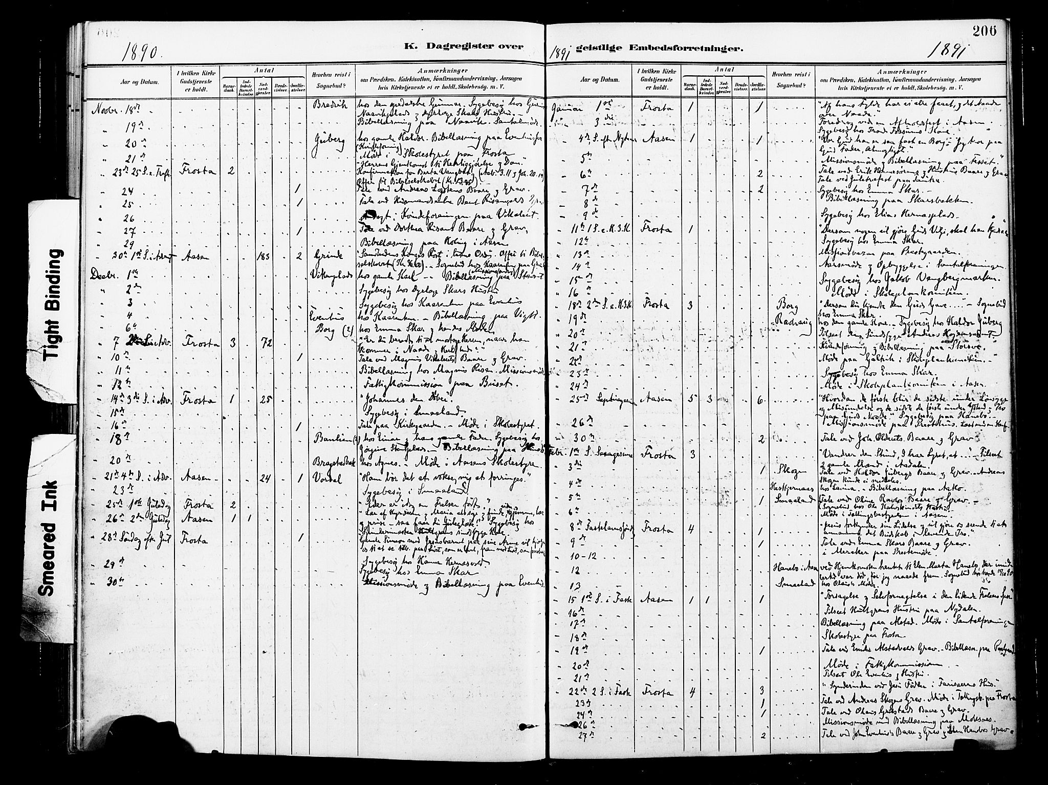 Ministerialprotokoller, klokkerbøker og fødselsregistre - Nord-Trøndelag, SAT/A-1458/713/L0121: Ministerialbok nr. 713A10, 1888-1898, s. 206