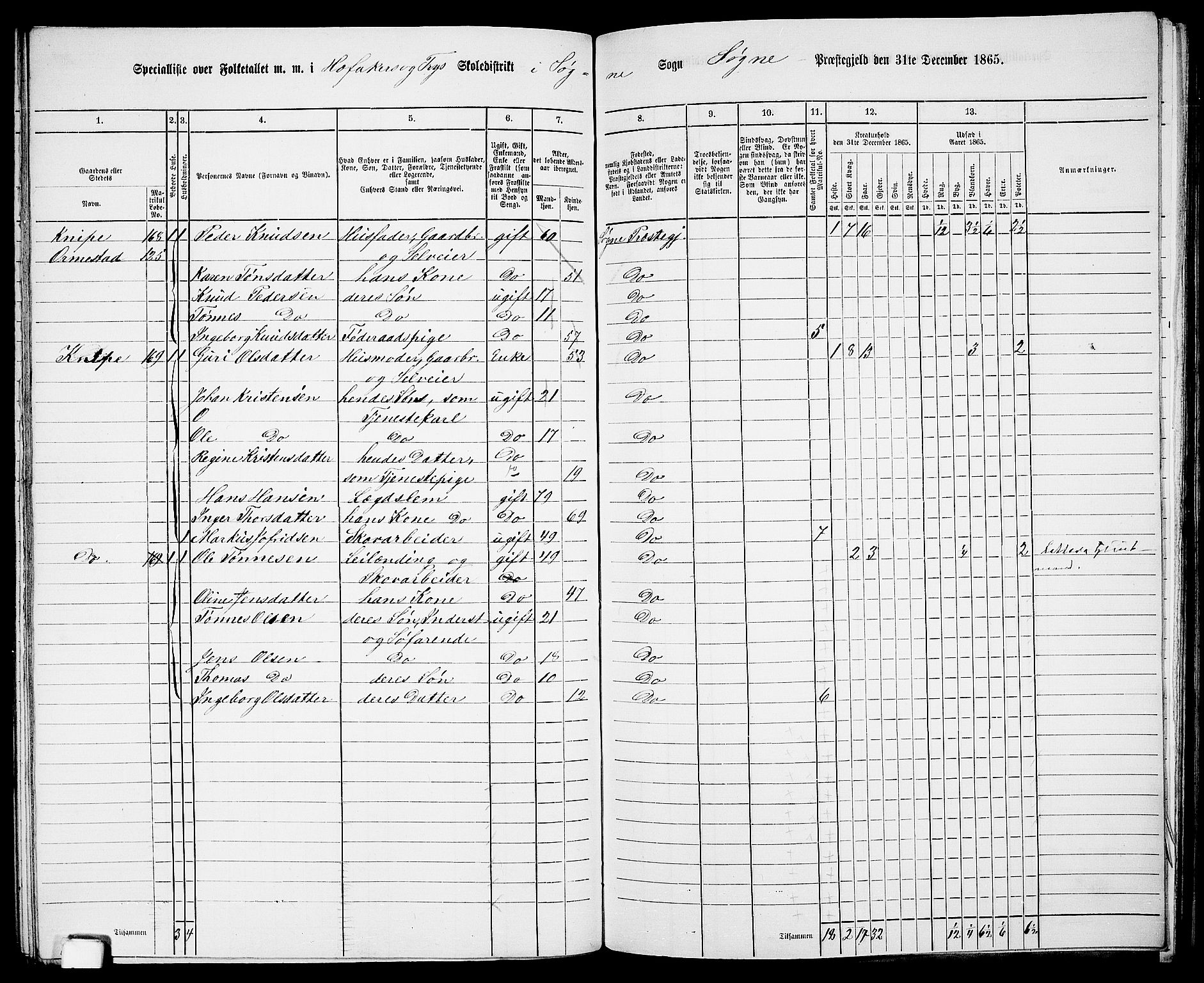 RA, Folketelling 1865 for 1018P Søgne prestegjeld, 1865, s. 110