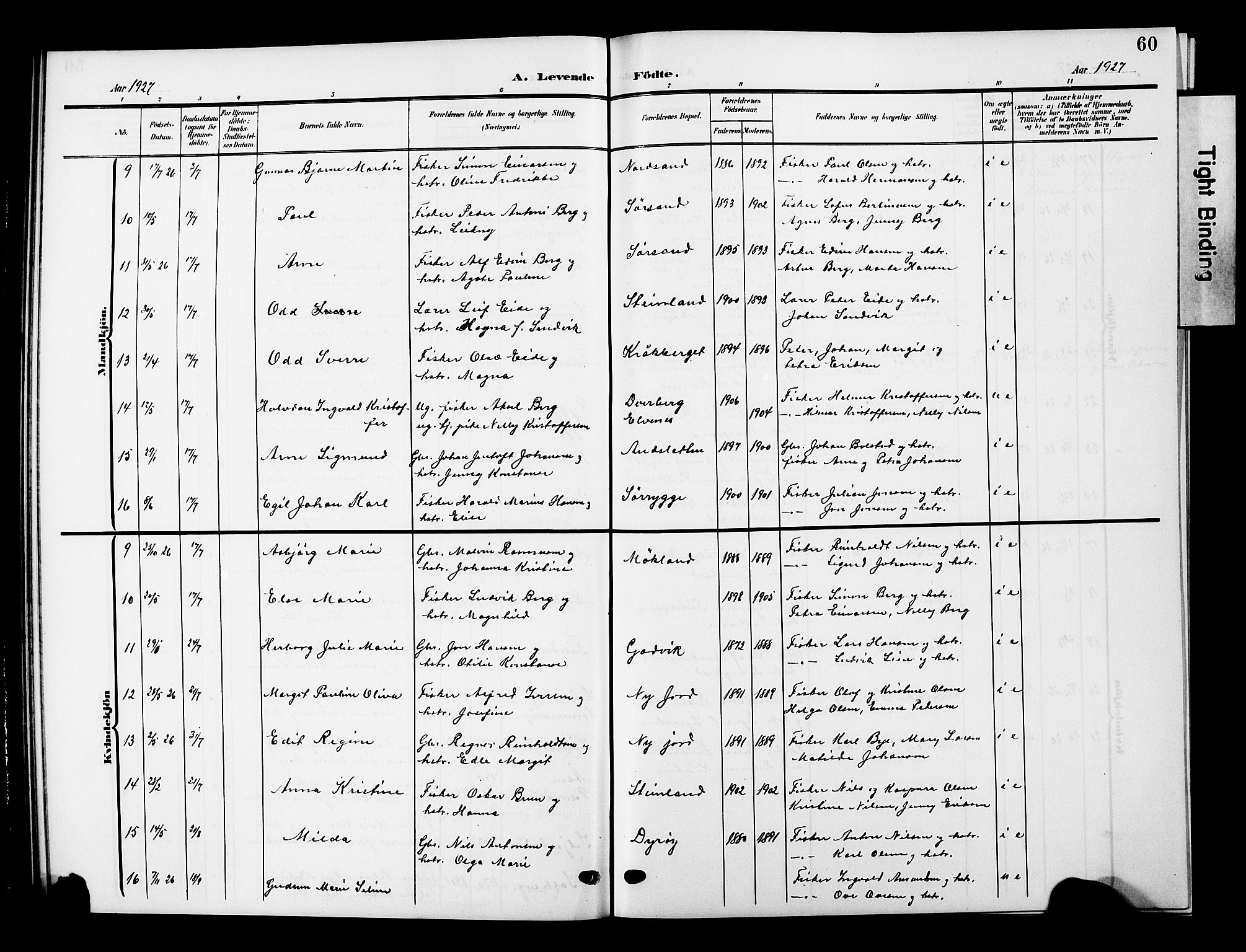 Ministerialprotokoller, klokkerbøker og fødselsregistre - Nordland, AV/SAT-A-1459/893/L1350: Klokkerbok nr. 893C05, 1906-1927, s. 60