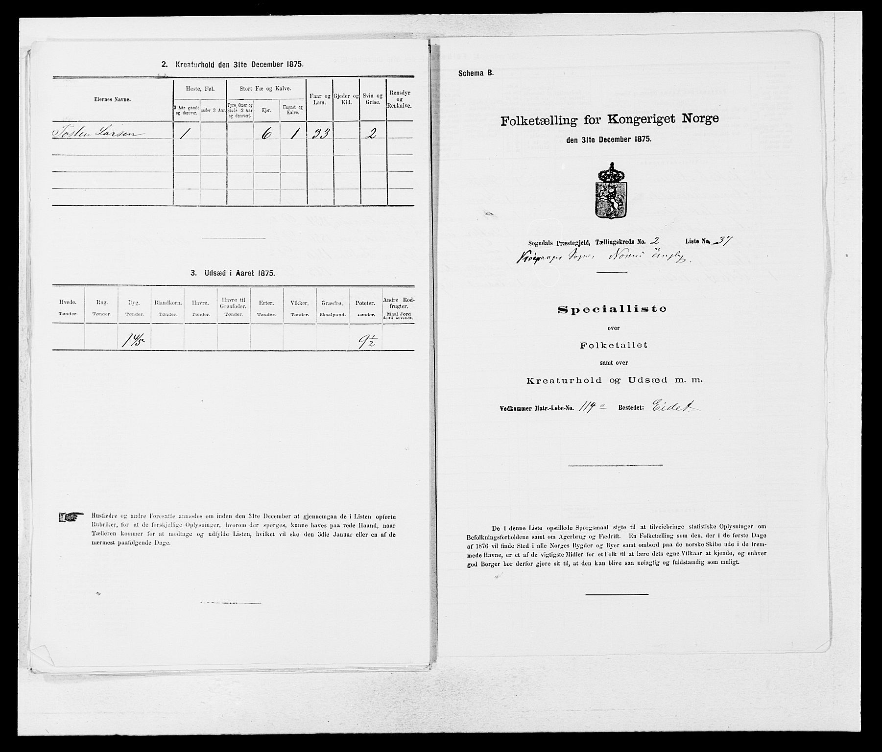 SAB, Folketelling 1875 for 1420P Sogndal prestegjeld, 1875, s. 202