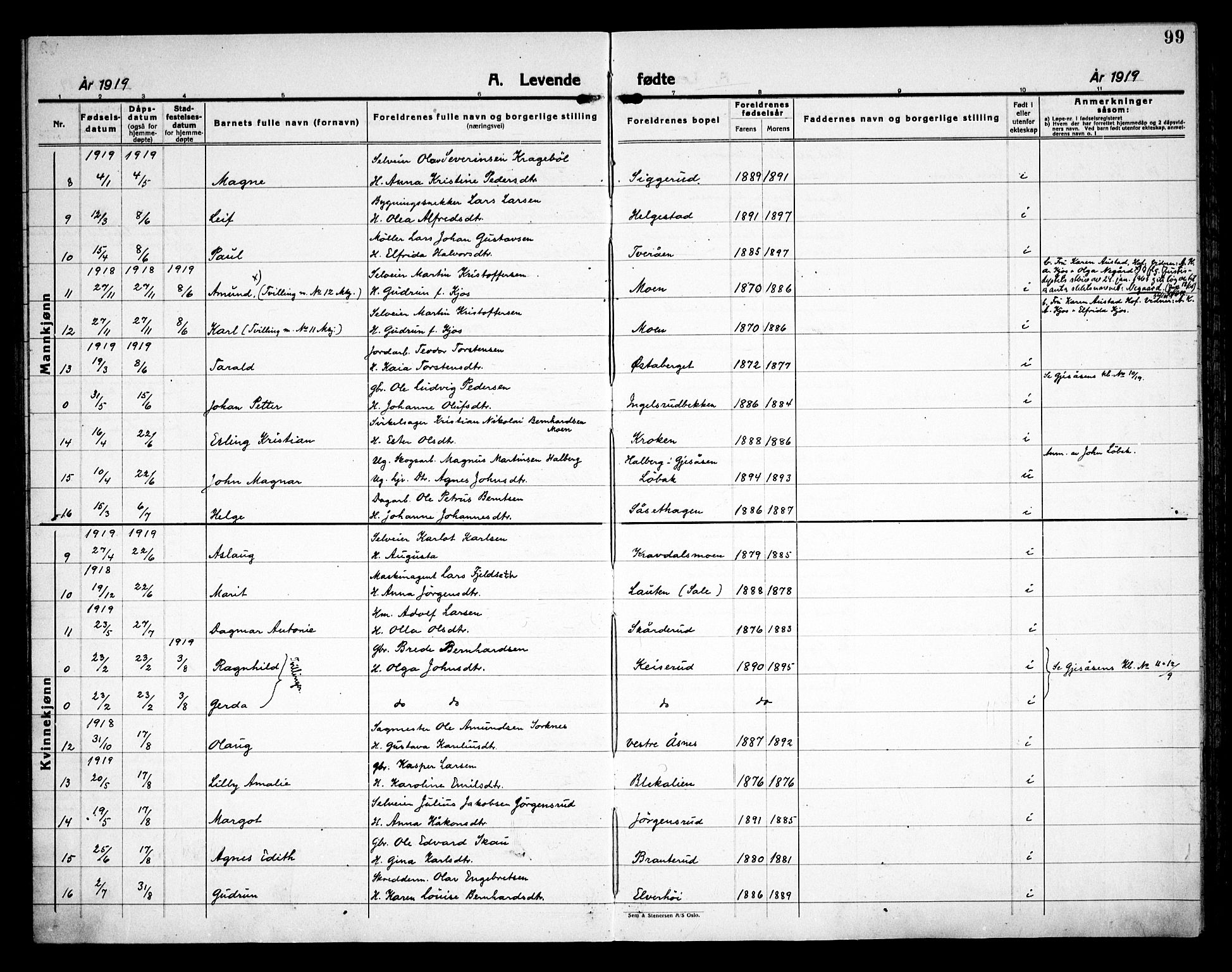 Åsnes prestekontor, AV/SAH-PREST-042/H/Ha/Haa/L0000C: Ministerialbok nr. 0A, 1890-1929, s. 99