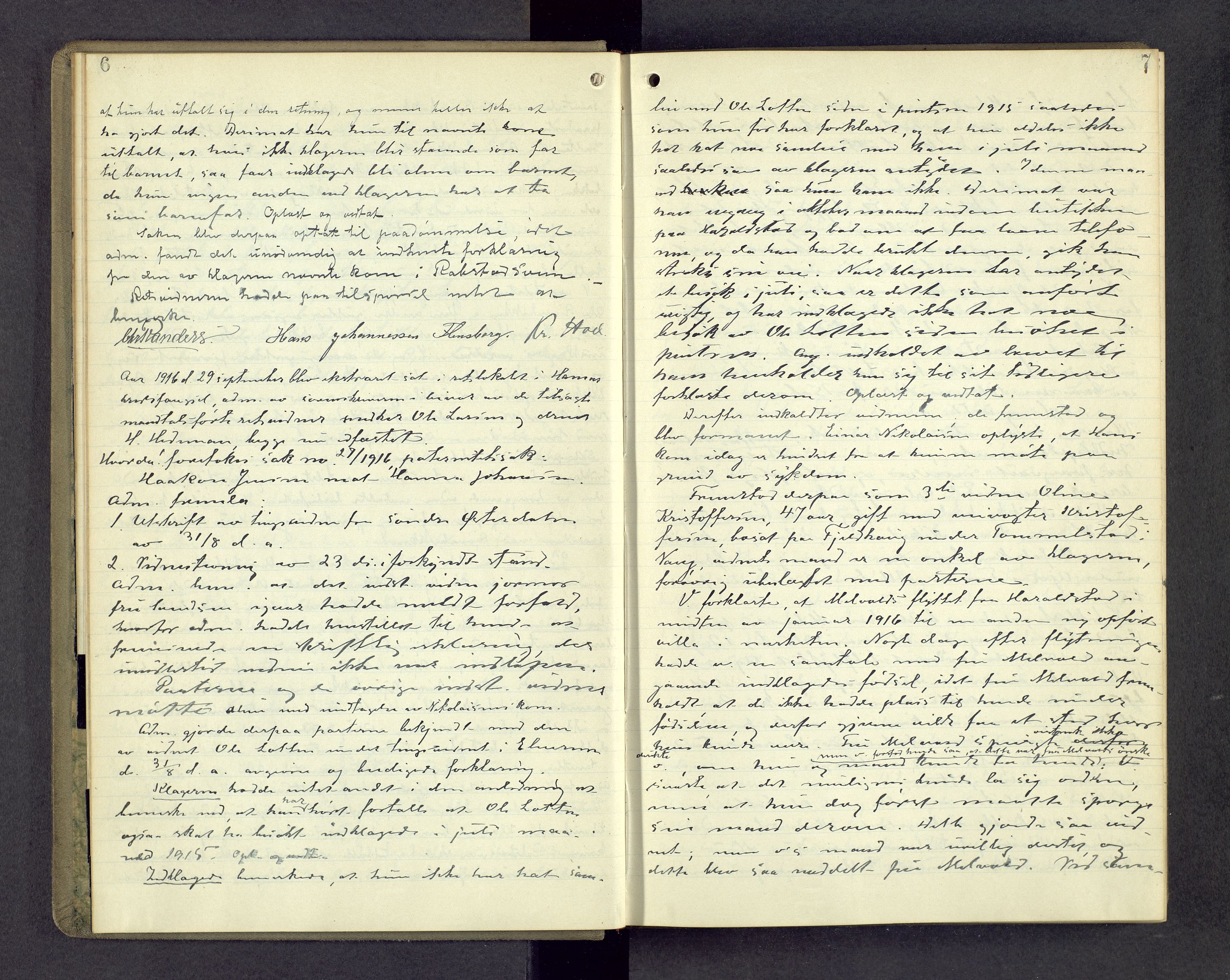 Nord-Hedmark sorenskriveri, AV/SAH-TING-012/G/Gc/L0023: Ekstrarettsprotokoll, 1916-1918, s. 6-7
