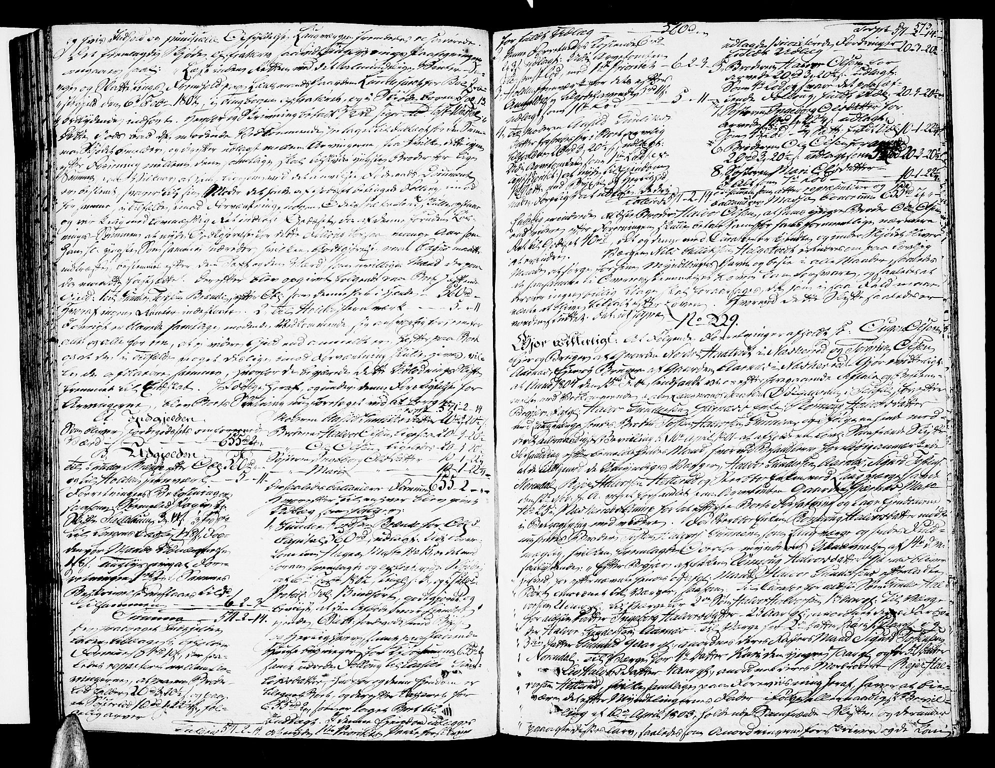 Nedre Telemark sorenskriveri, AV/SAKO-A-135/H/Hb/Hba/L0018: Skifteprotokoll, 1801-1806, s. 572b-573a