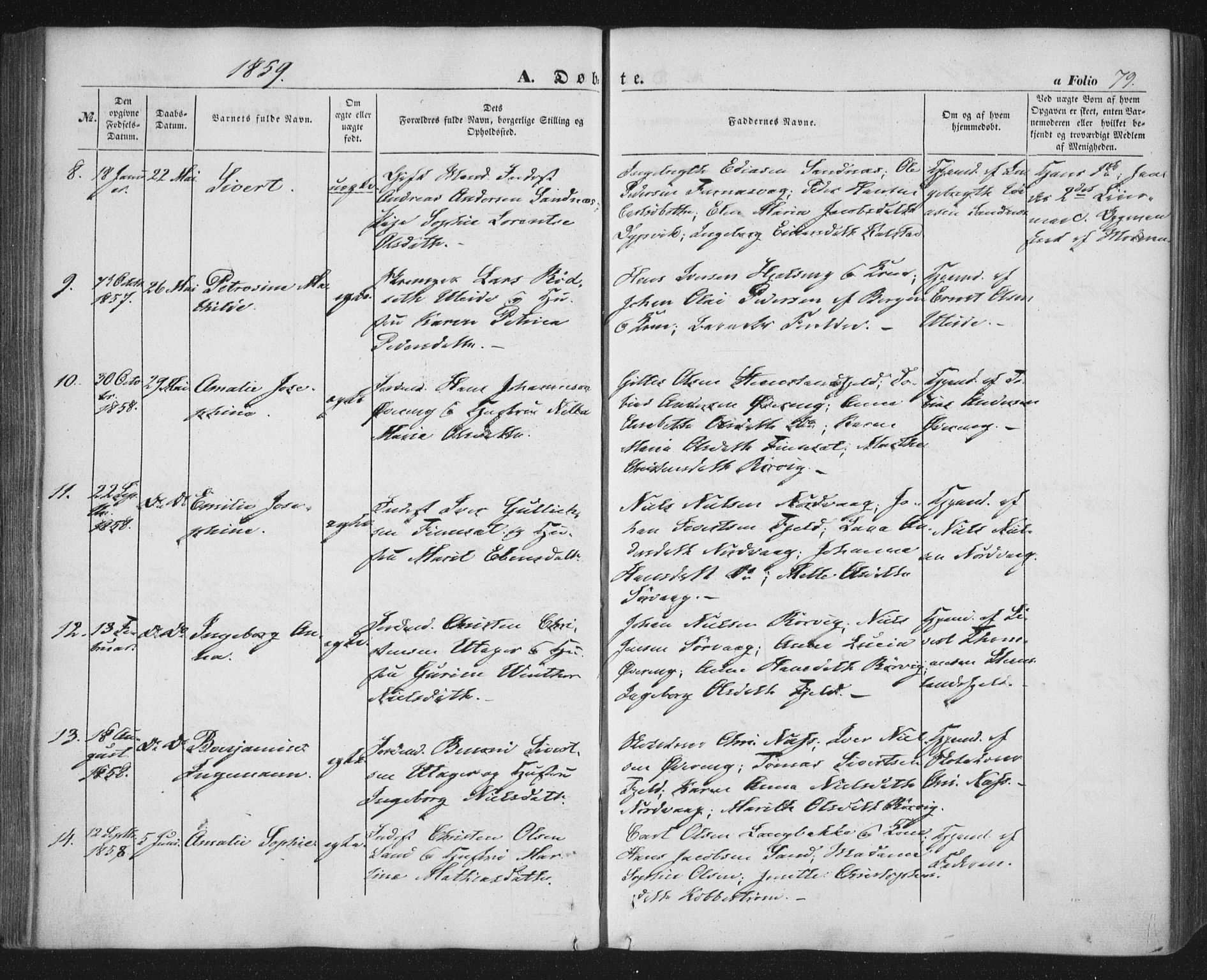 Ministerialprotokoller, klokkerbøker og fødselsregistre - Nordland, AV/SAT-A-1459/859/L0844: Ministerialbok nr. 859A04, 1849-1862, s. 79