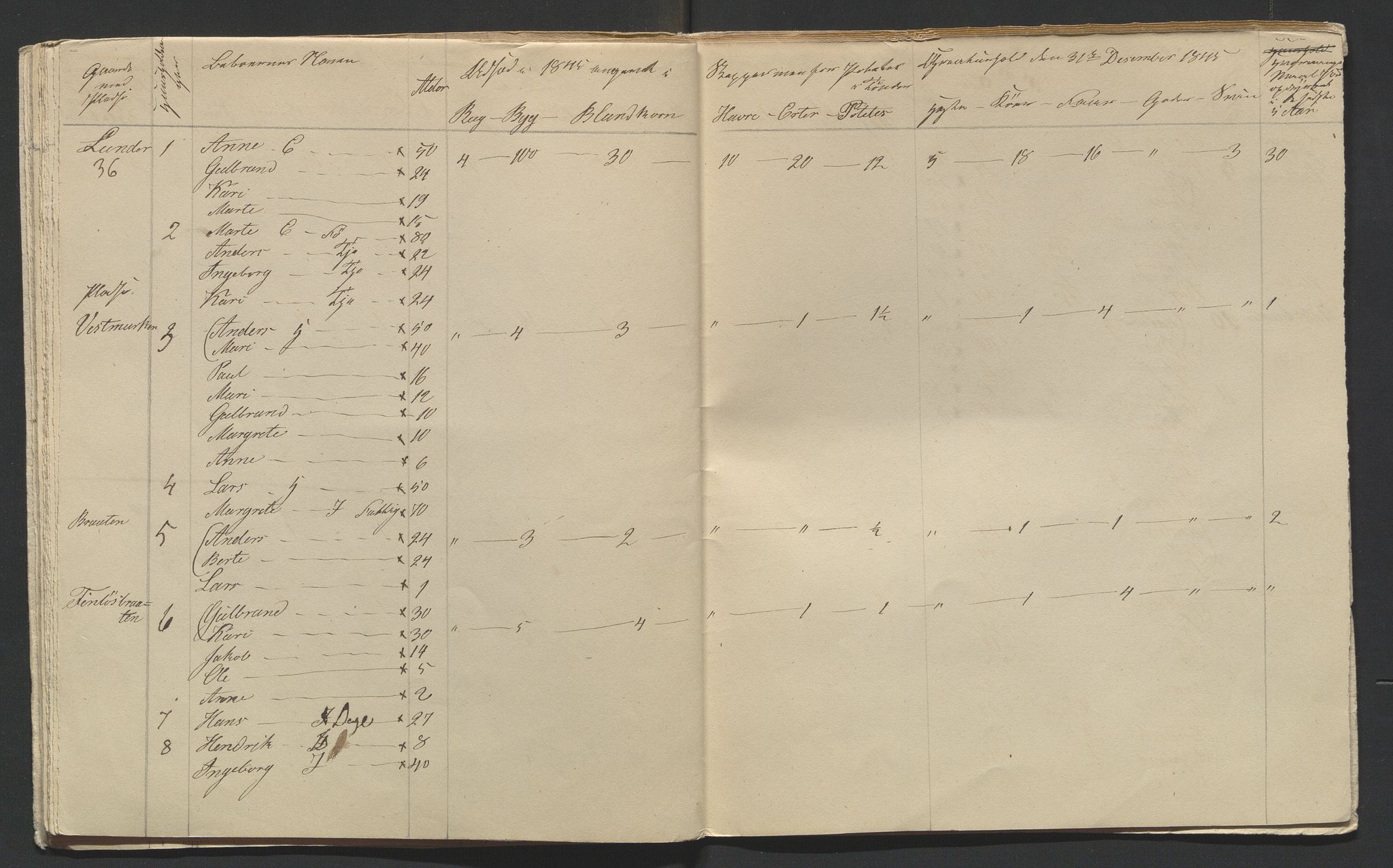 SAH, Lokaliasamlingen for Hedmark og Oppland fylker m.v.: Folketellingen 1845 for Jevnaker prestegjeld, 1845, s. 21