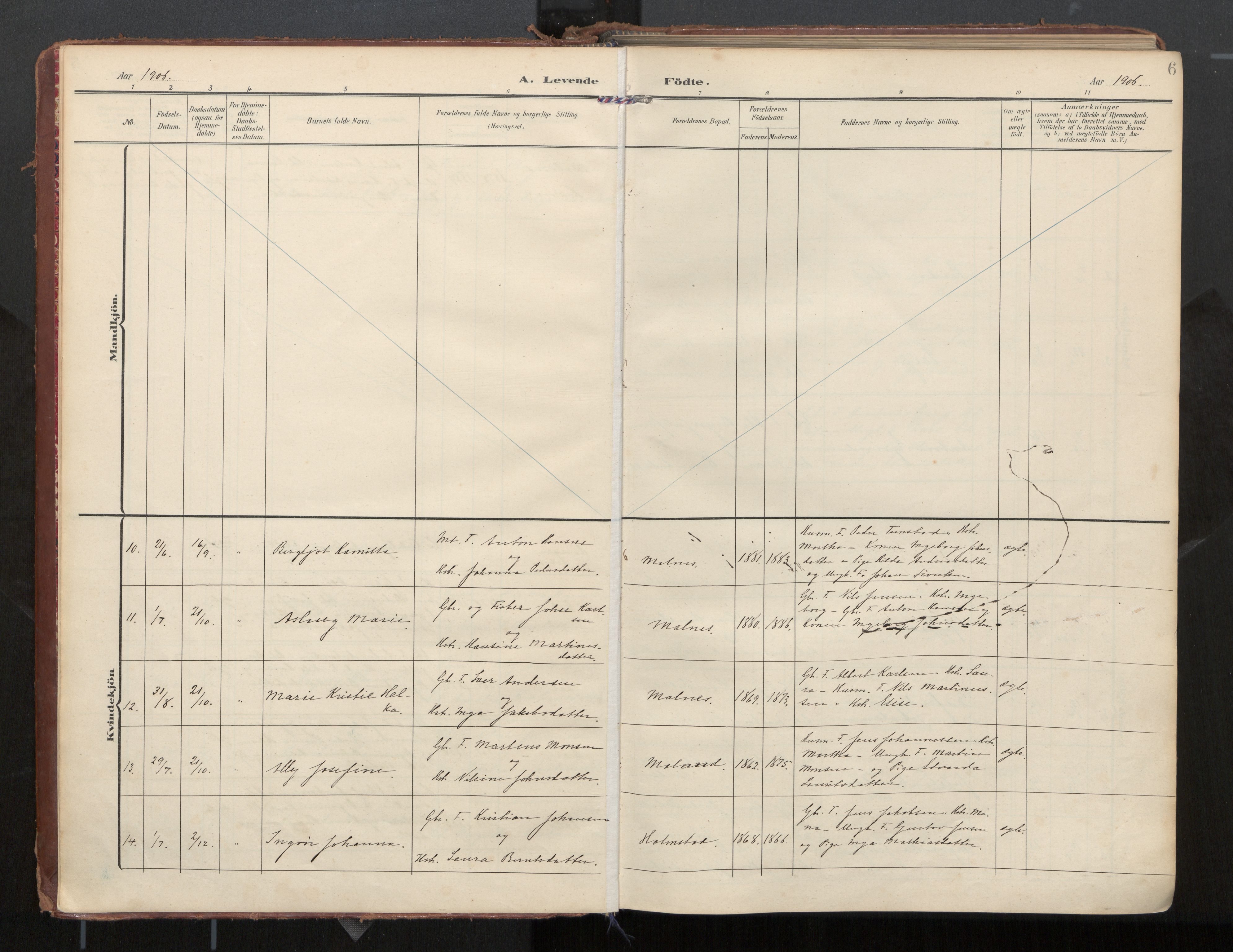 Ministerialprotokoller, klokkerbøker og fødselsregistre - Nordland, AV/SAT-A-1459/884/L1194: Ministerialbok nr. 884A02, 1906-1937, s. 6