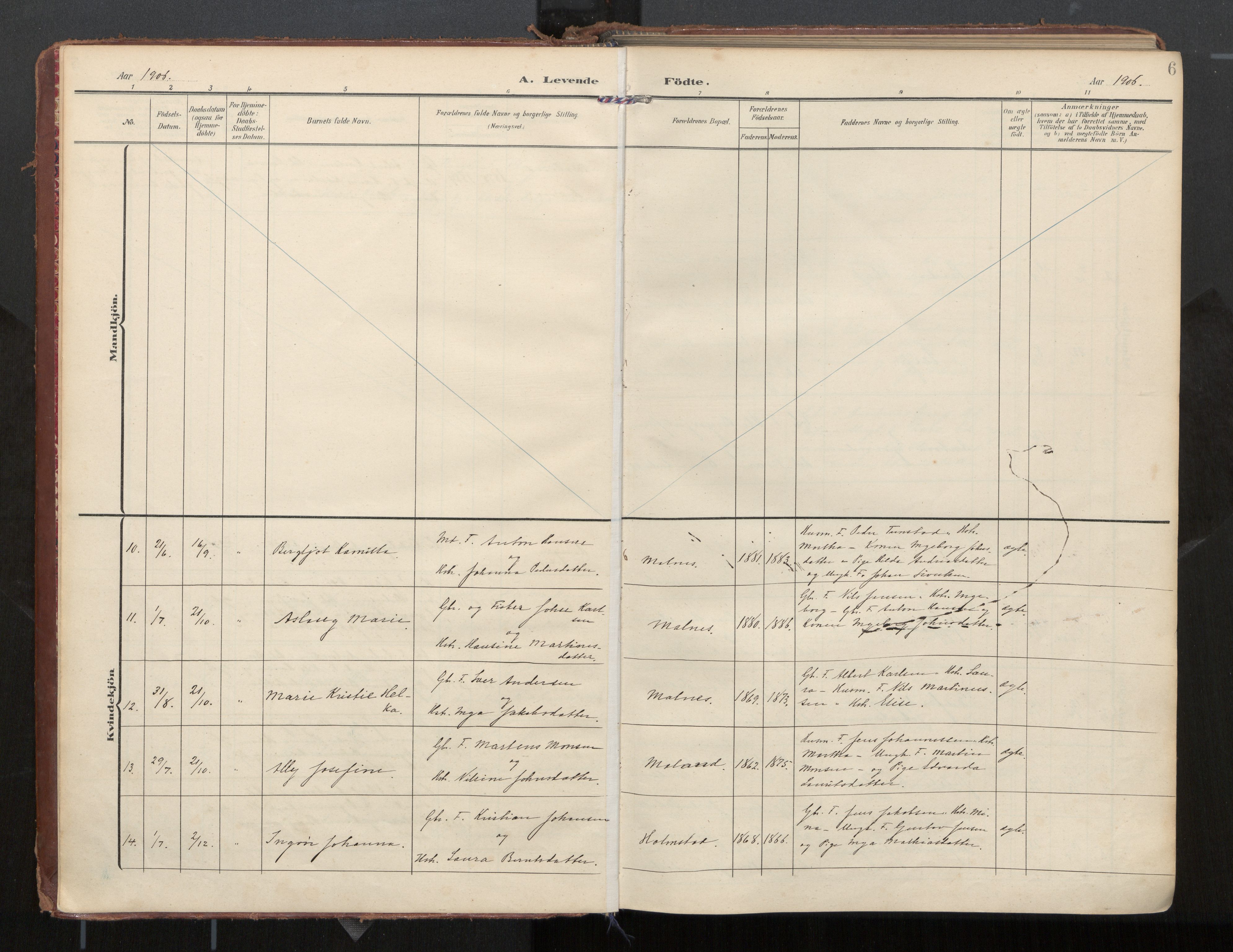 Ministerialprotokoller, klokkerbøker og fødselsregistre - Nordland, SAT/A-1459/884/L1194: Ministerialbok nr. 884A02, 1906-1937, s. 6