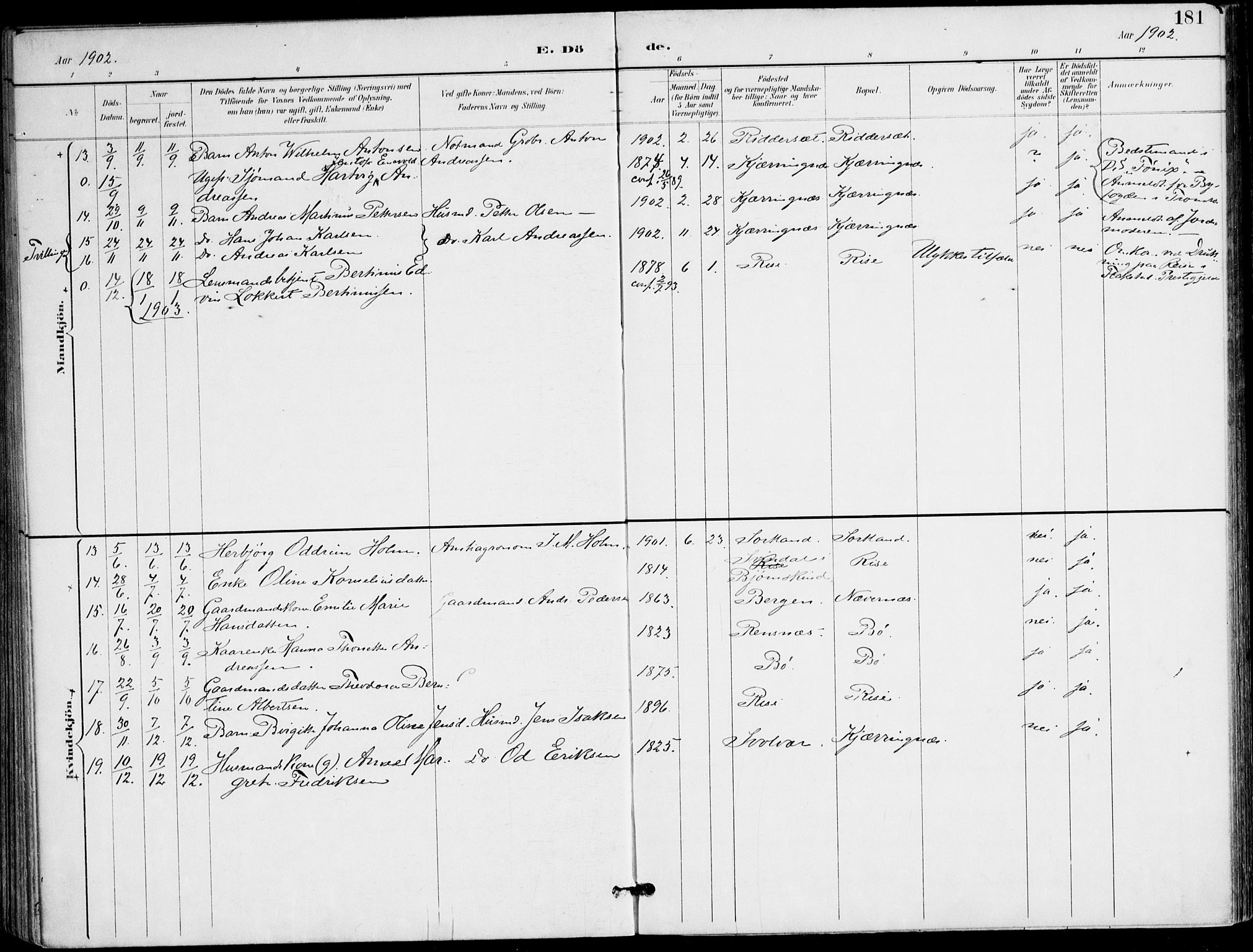 Ministerialprotokoller, klokkerbøker og fødselsregistre - Nordland, SAT/A-1459/895/L1372: Ministerialbok nr. 895A07, 1894-1914, s. 181