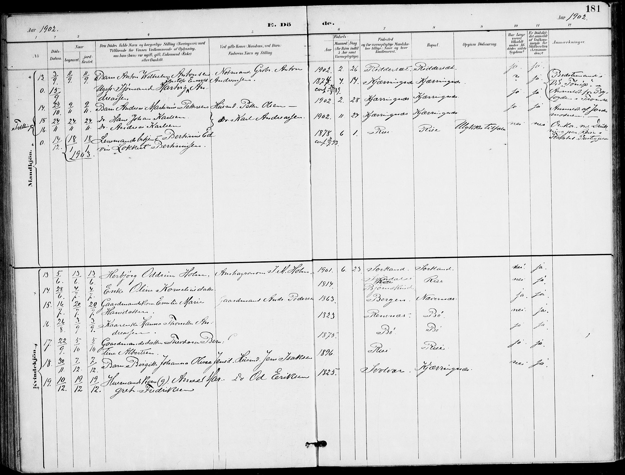 Ministerialprotokoller, klokkerbøker og fødselsregistre - Nordland, AV/SAT-A-1459/895/L1372: Ministerialbok nr. 895A07, 1894-1914, s. 181