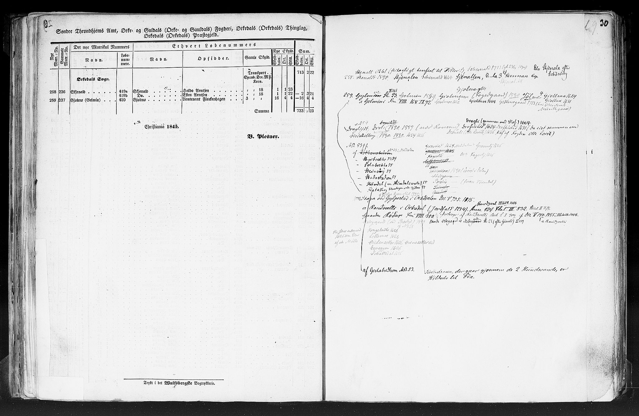 Rygh, RA/PA-0034/F/Fb/L0014: Matrikkelen for 1838 - Søndre Trondhjems amt (Sør-Trøndelag fylke), 1838, s. 29b