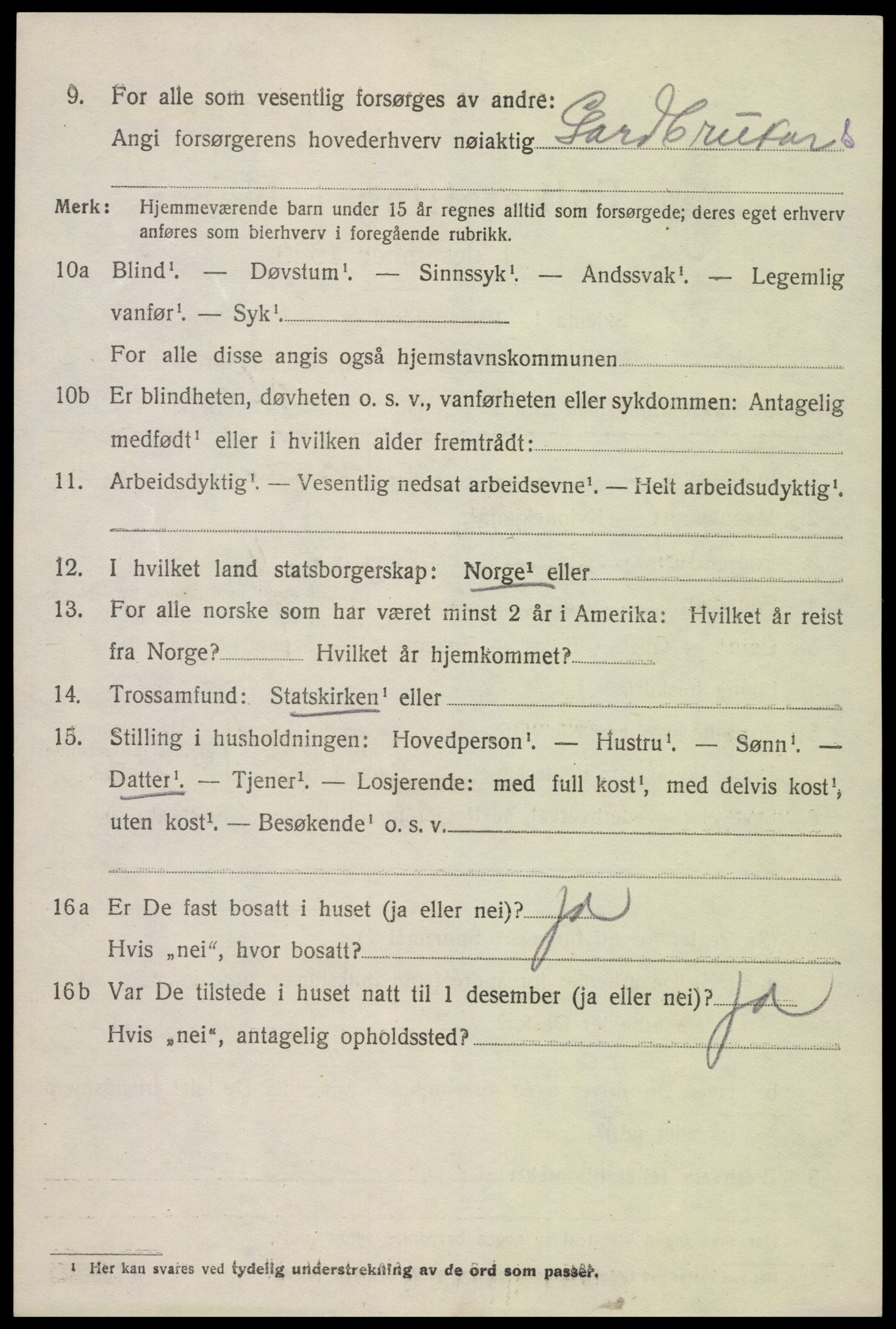 SAK, Folketelling 1920 for 0936 Hornnes herred, 1920, s. 3218