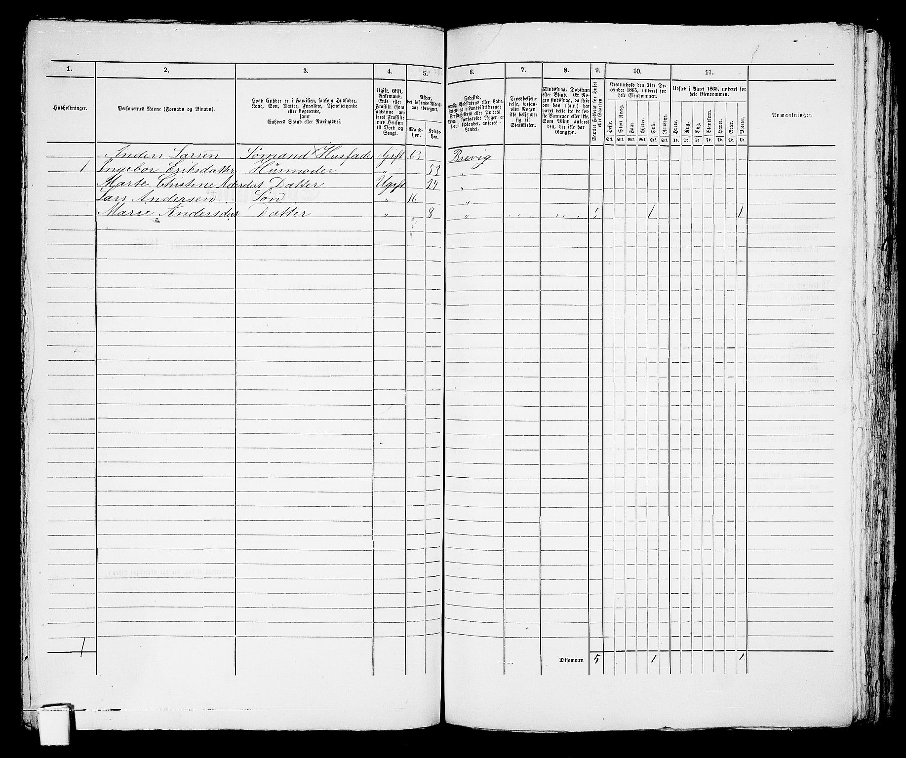 RA, Folketelling 1865 for 0804P Brevik prestegjeld, 1865, s. 249