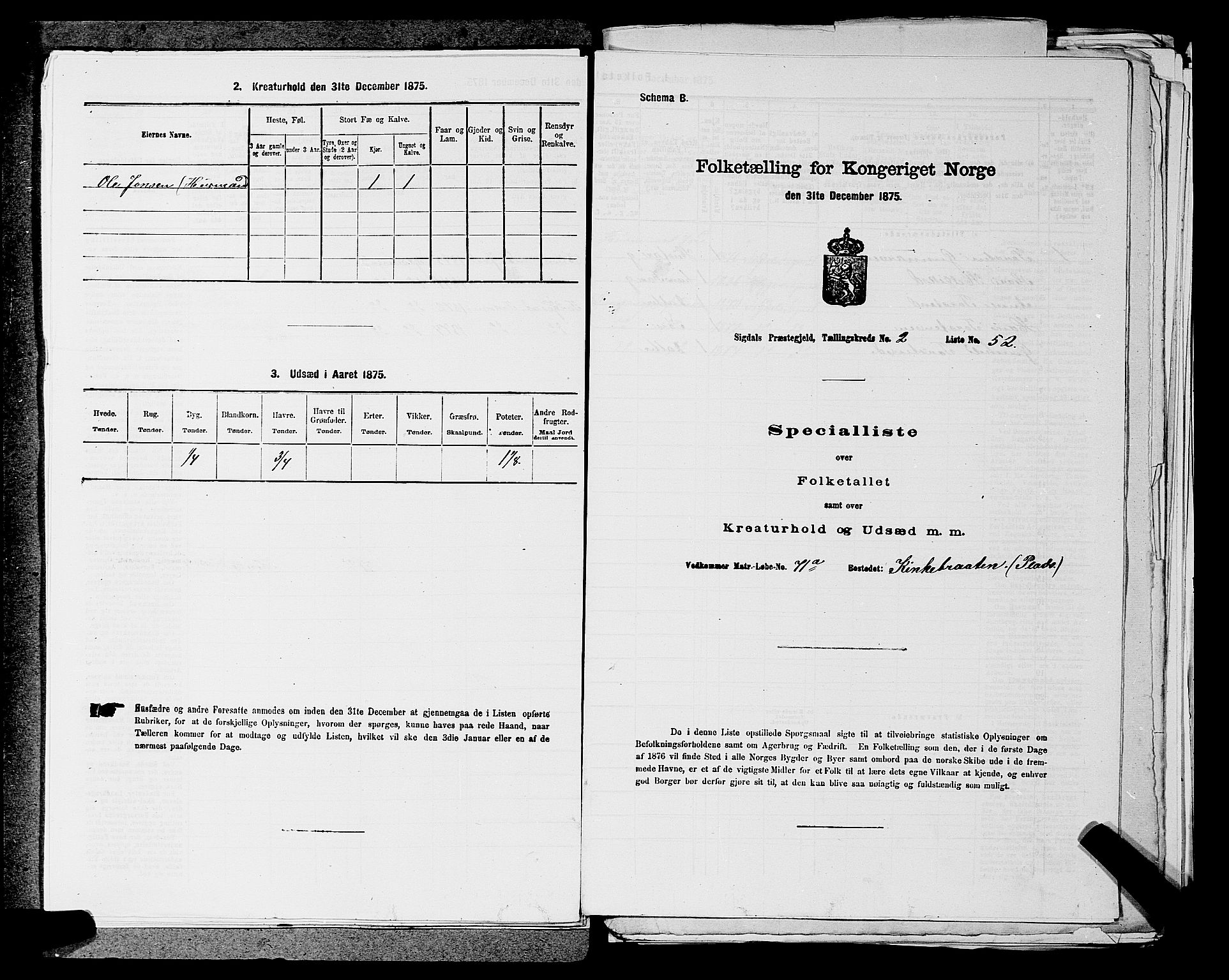 SAKO, Folketelling 1875 for 0621P Sigdal prestegjeld, 1875, s. 414