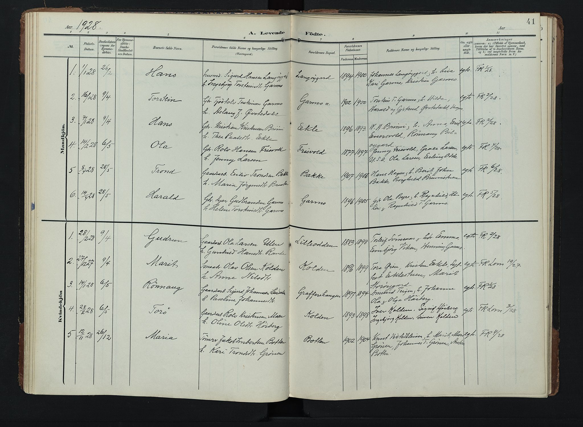 Lom prestekontor, AV/SAH-PREST-070/K/L0011: Ministerialbok nr. 11, 1904-1928, s. 41