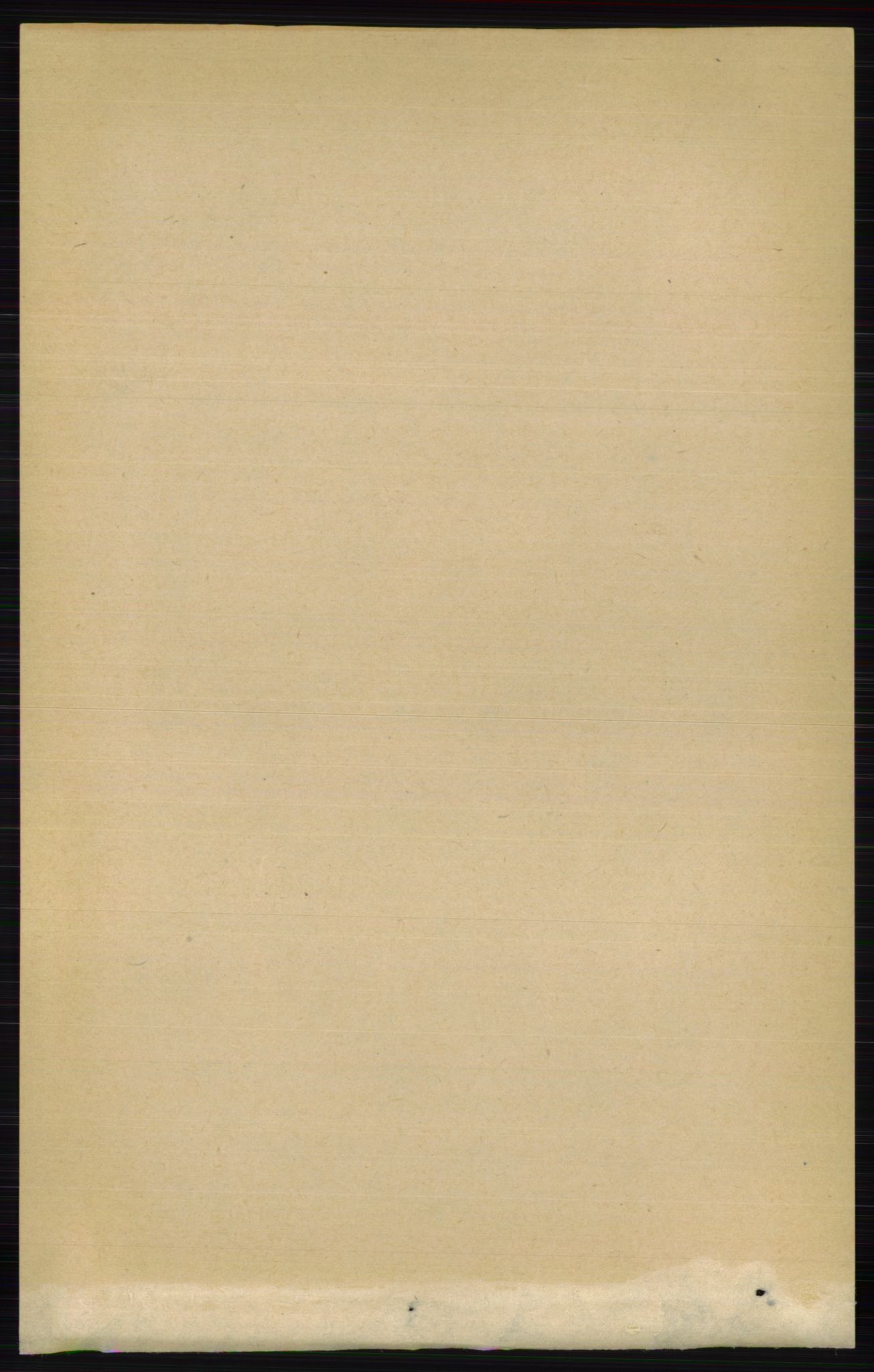 RA, Folketelling 1891 for 0411 Nes herred, 1891, s. 157