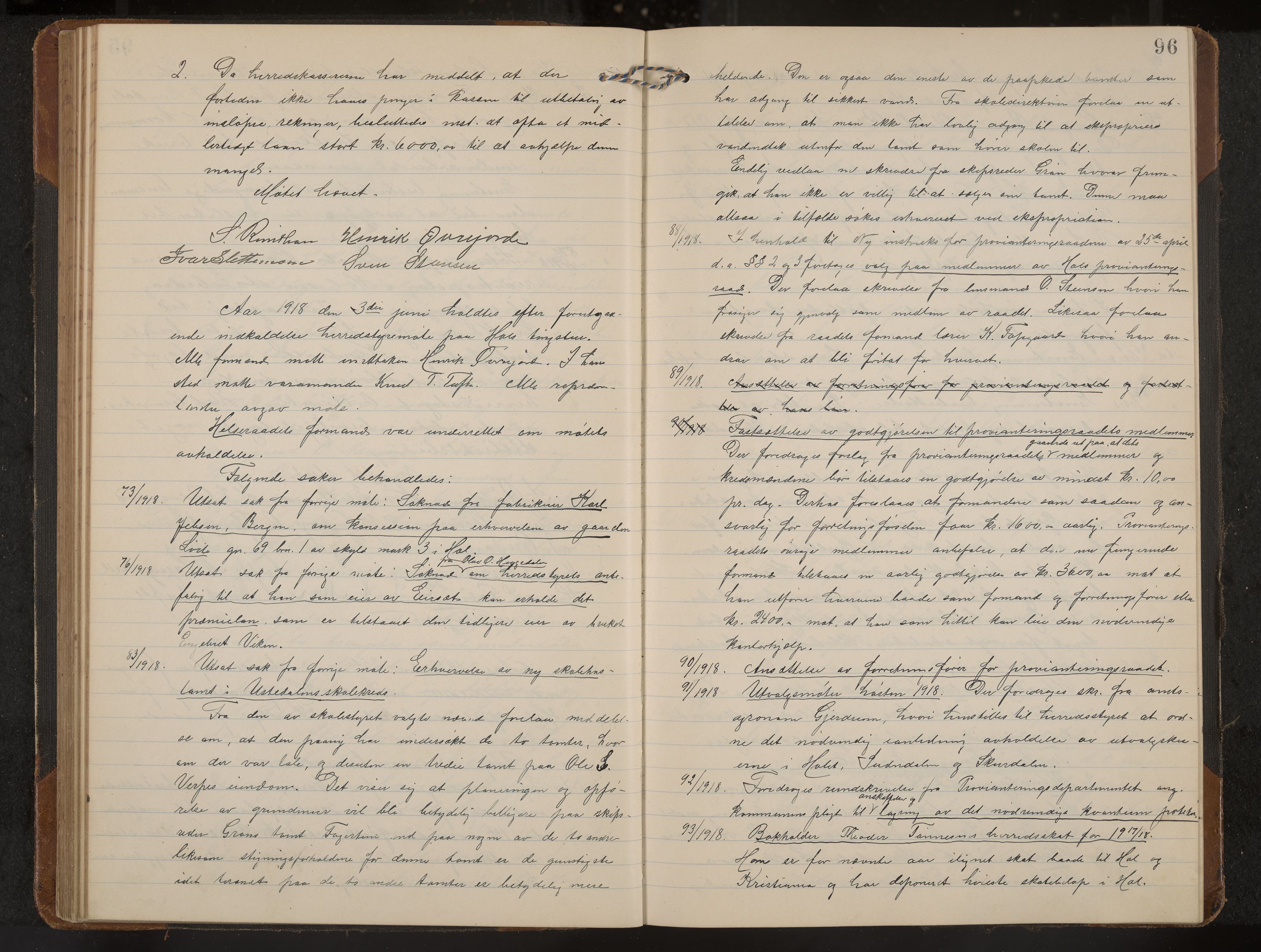Hol formannskap og sentraladministrasjon, IKAK/0620021-1/A/L0006: Møtebok, 1916-1922, s. 96