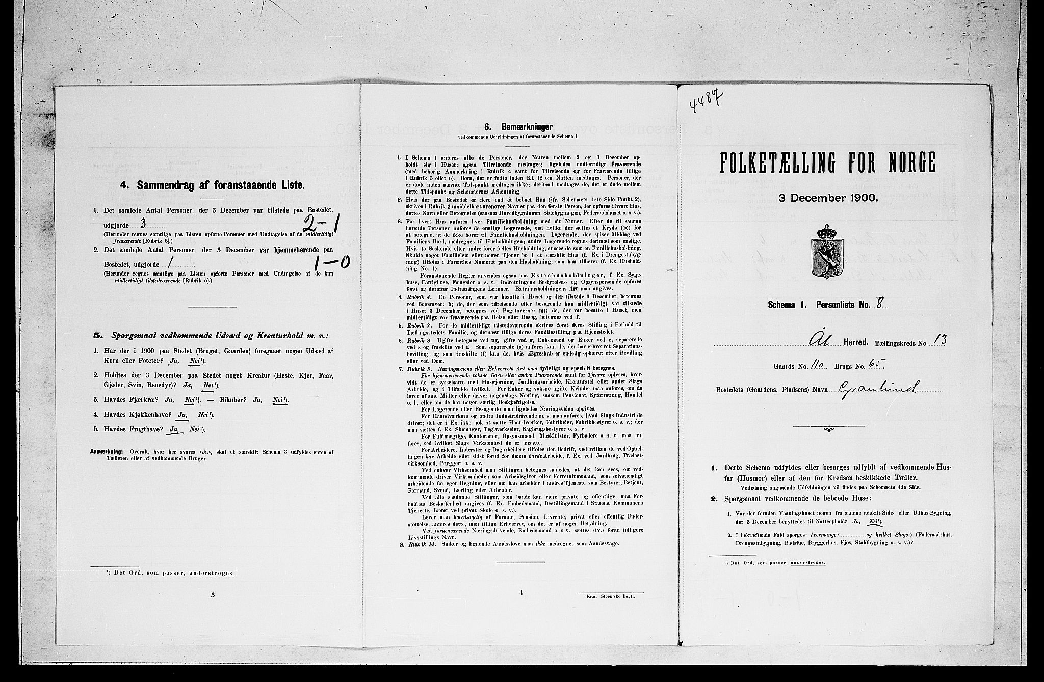 RA, Folketelling 1900 for 0619 Ål herred, 1900, s. 1016