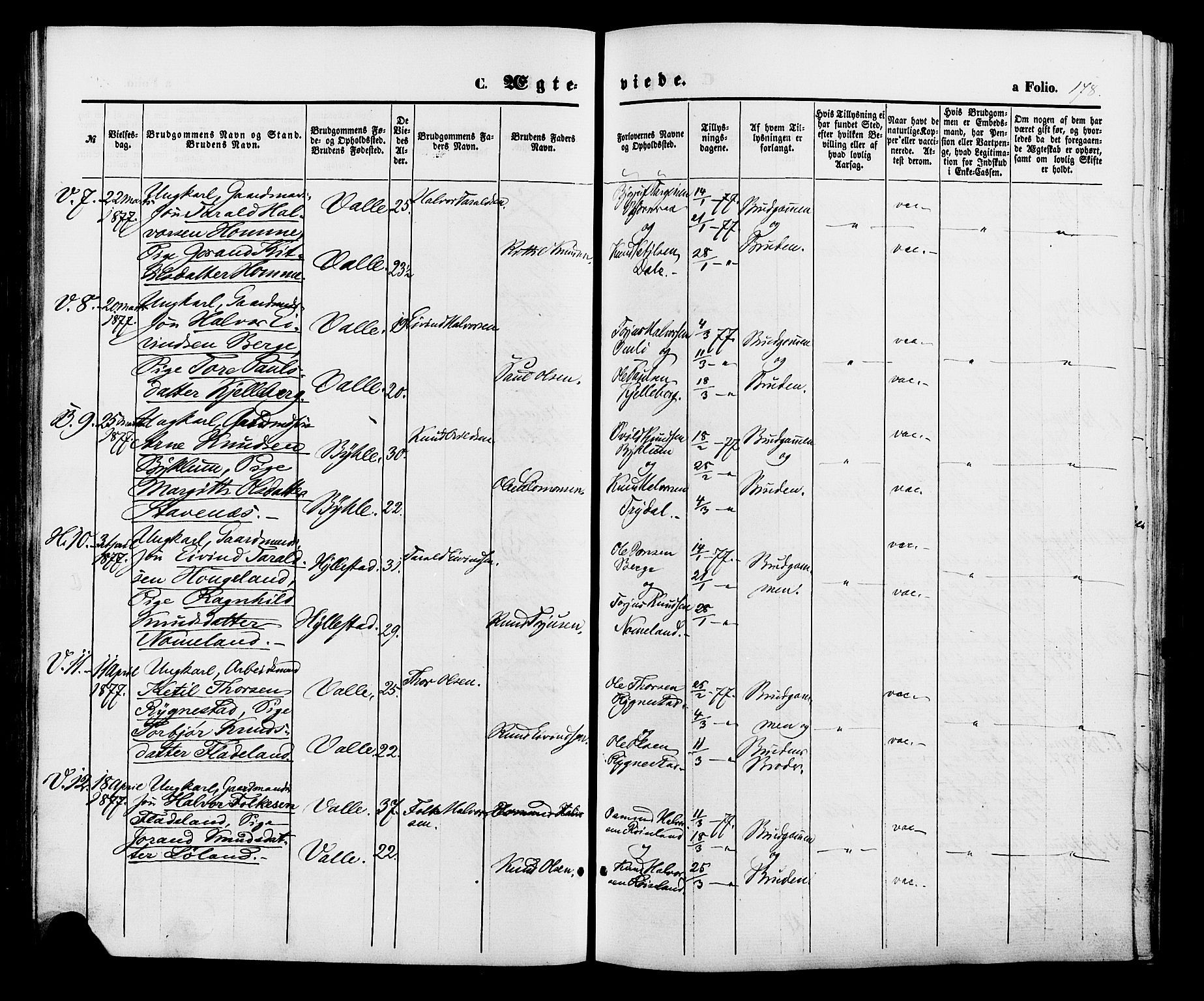 Valle sokneprestkontor, AV/SAK-1111-0044/F/Fa/Fac/L0008: Ministerialbok nr. A 8, 1868-1882, s. 178