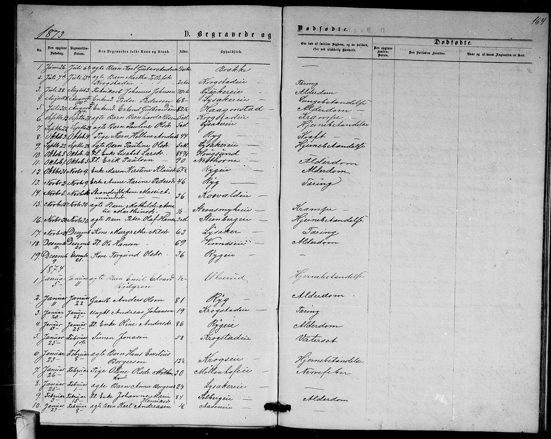 Nedre Eiker kirkebøker, AV/SAKO-A-612/G/Ga/L0001: Klokkerbok nr. 1, 1873-1880, s. 164
