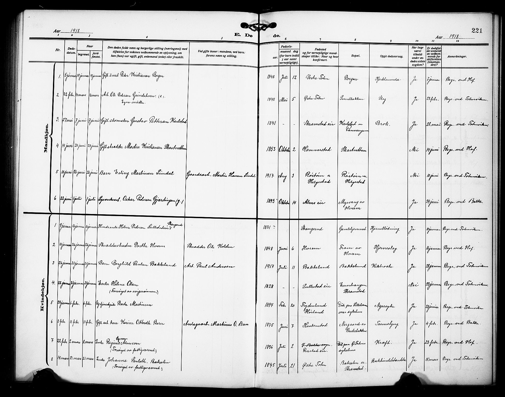 Østre Toten prestekontor, SAH/PREST-104/H/Ha/Hab/L0008: Klokkerbok nr. 8, 1913-1929, s. 221