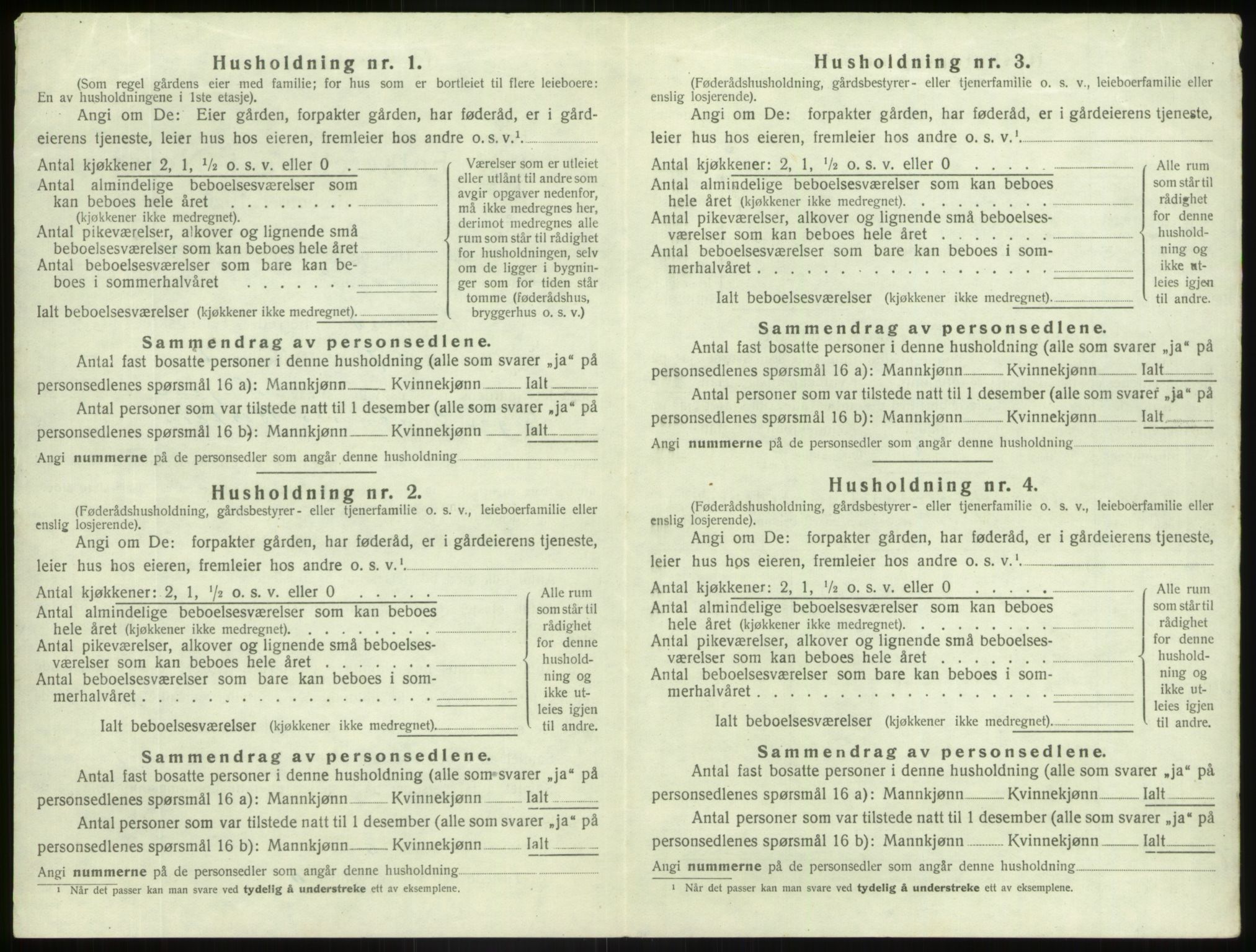 SAB, Folketelling 1920 for 1426 Luster herred, 1920, s. 905