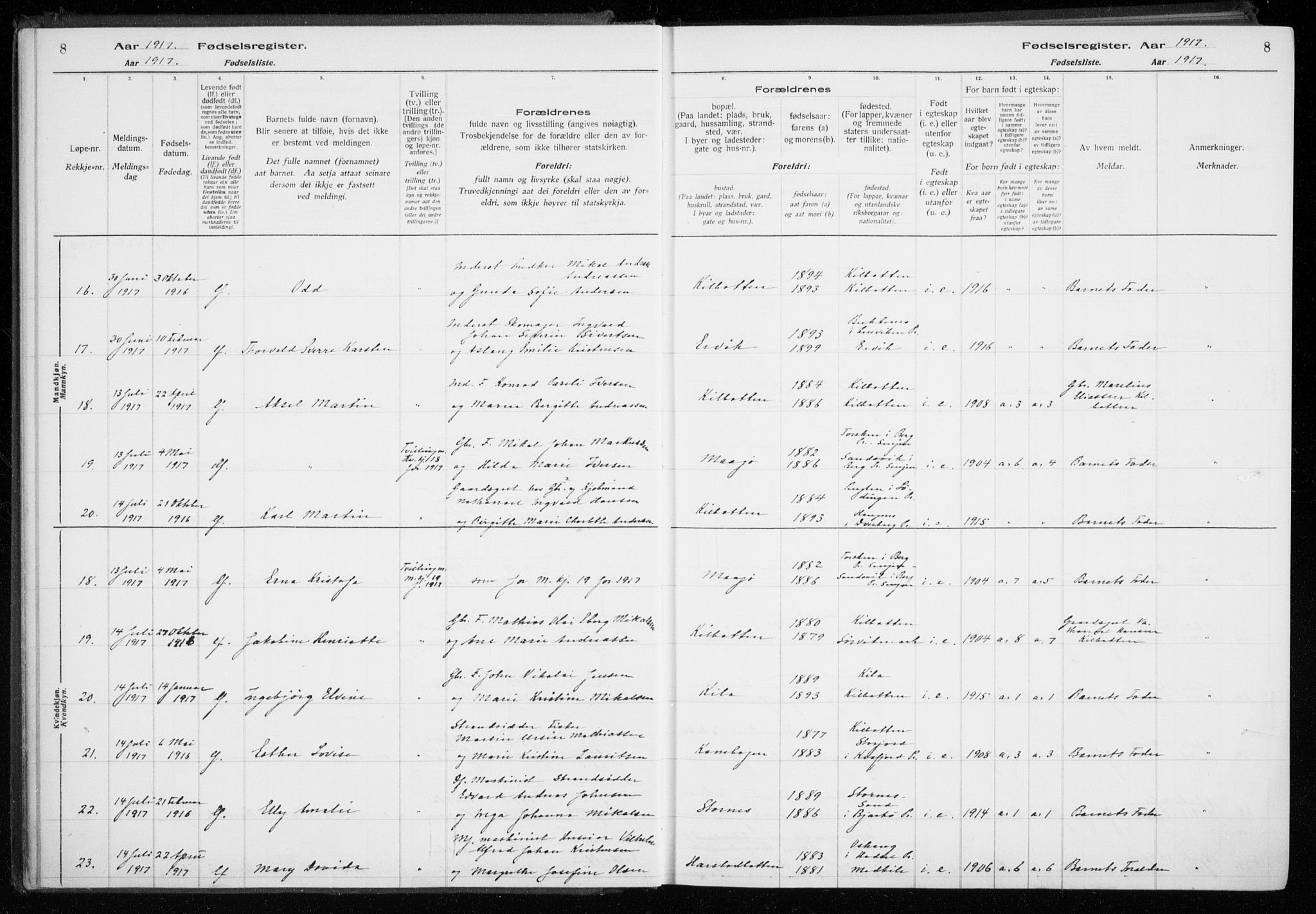 Trondenes sokneprestkontor, AV/SATØ-S-1319/I/Ia/L0089: Fødselsregister nr. 89, 1916-1925, s. 8