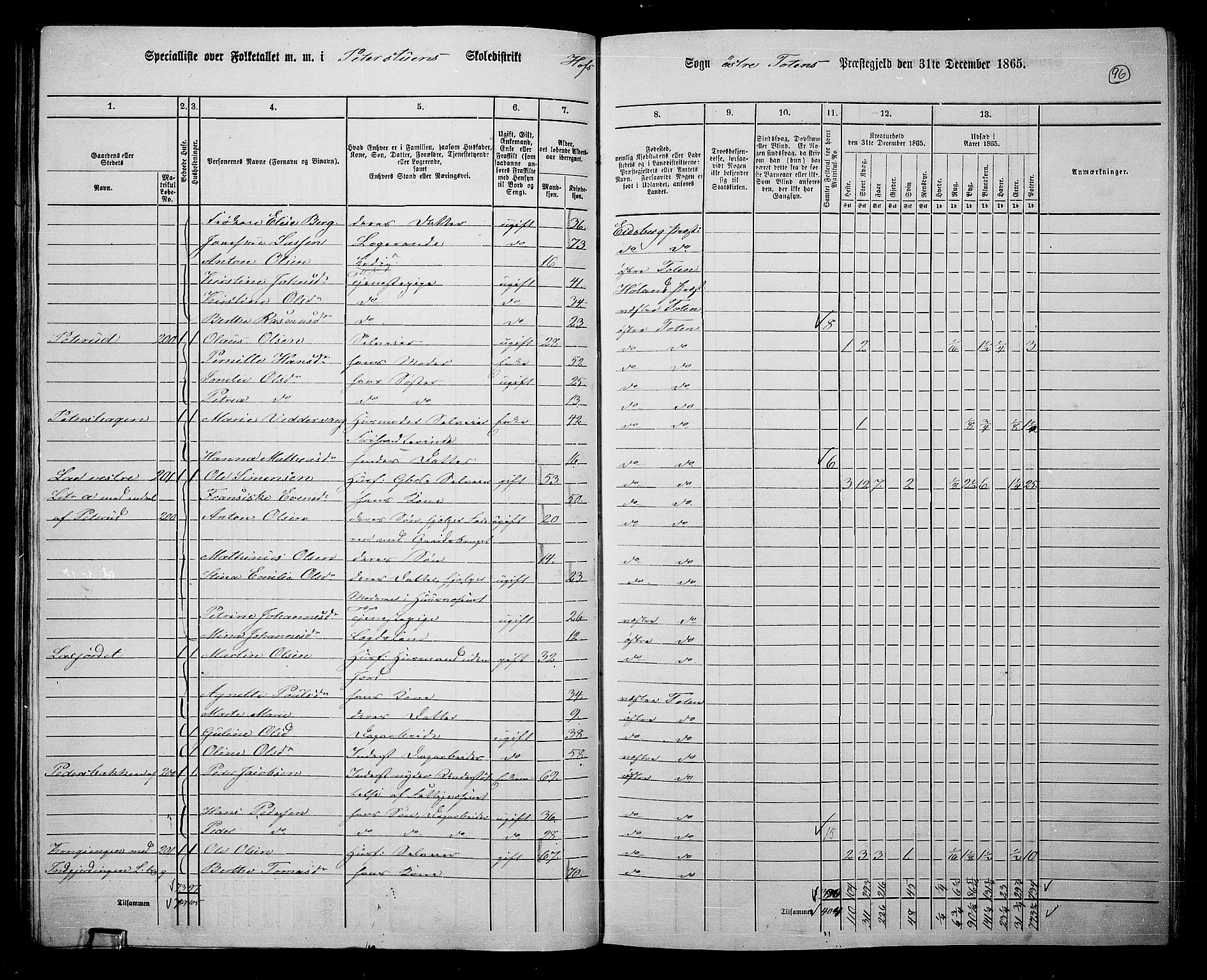 RA, Folketelling 1865 for 0528P Østre Toten prestegjeld, 1865, s. 217