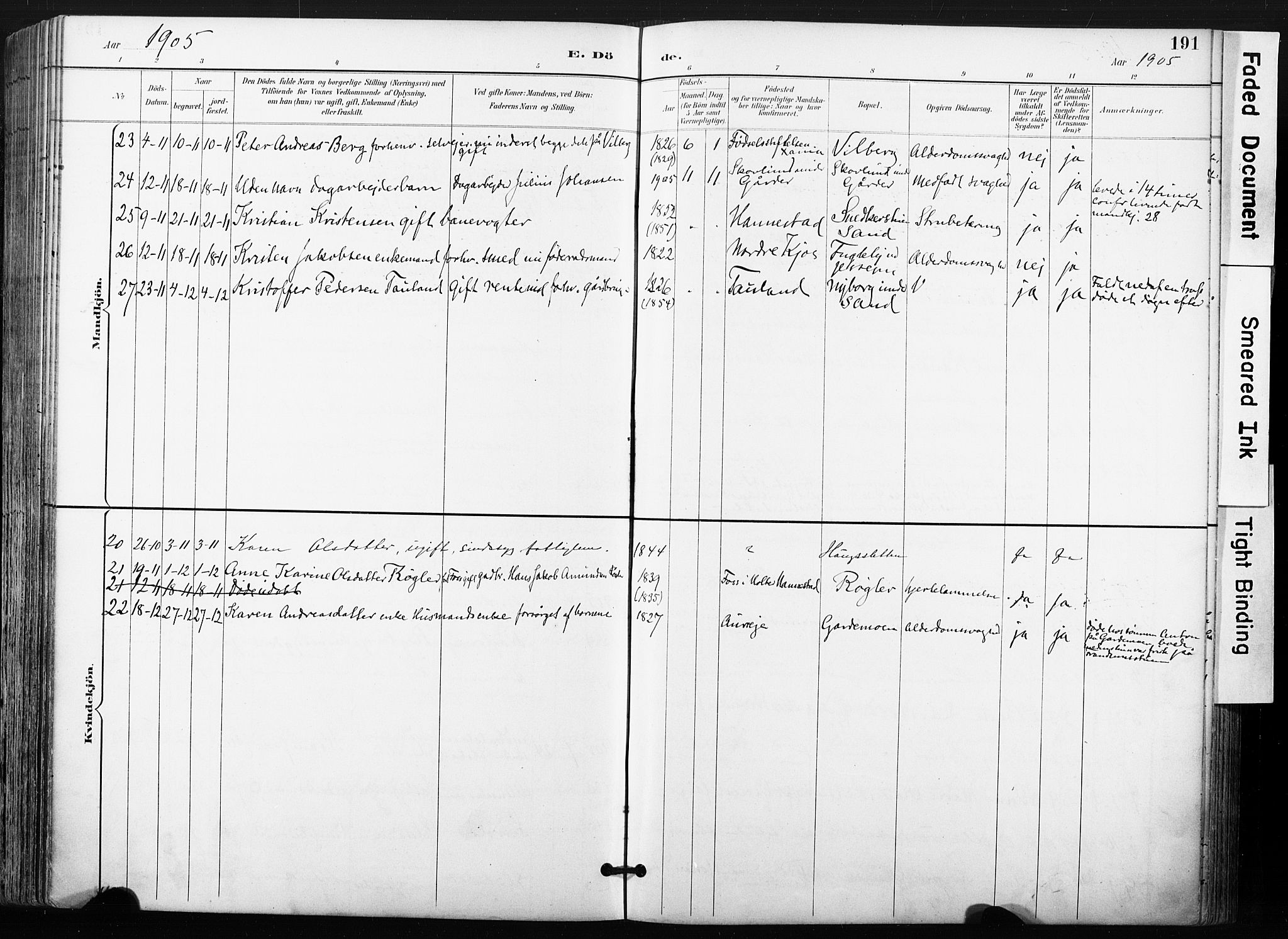 Ullensaker prestekontor Kirkebøker, AV/SAO-A-10236a/F/Fb/L0002: Ministerialbok nr. II 2, 1894-1909, s. 191