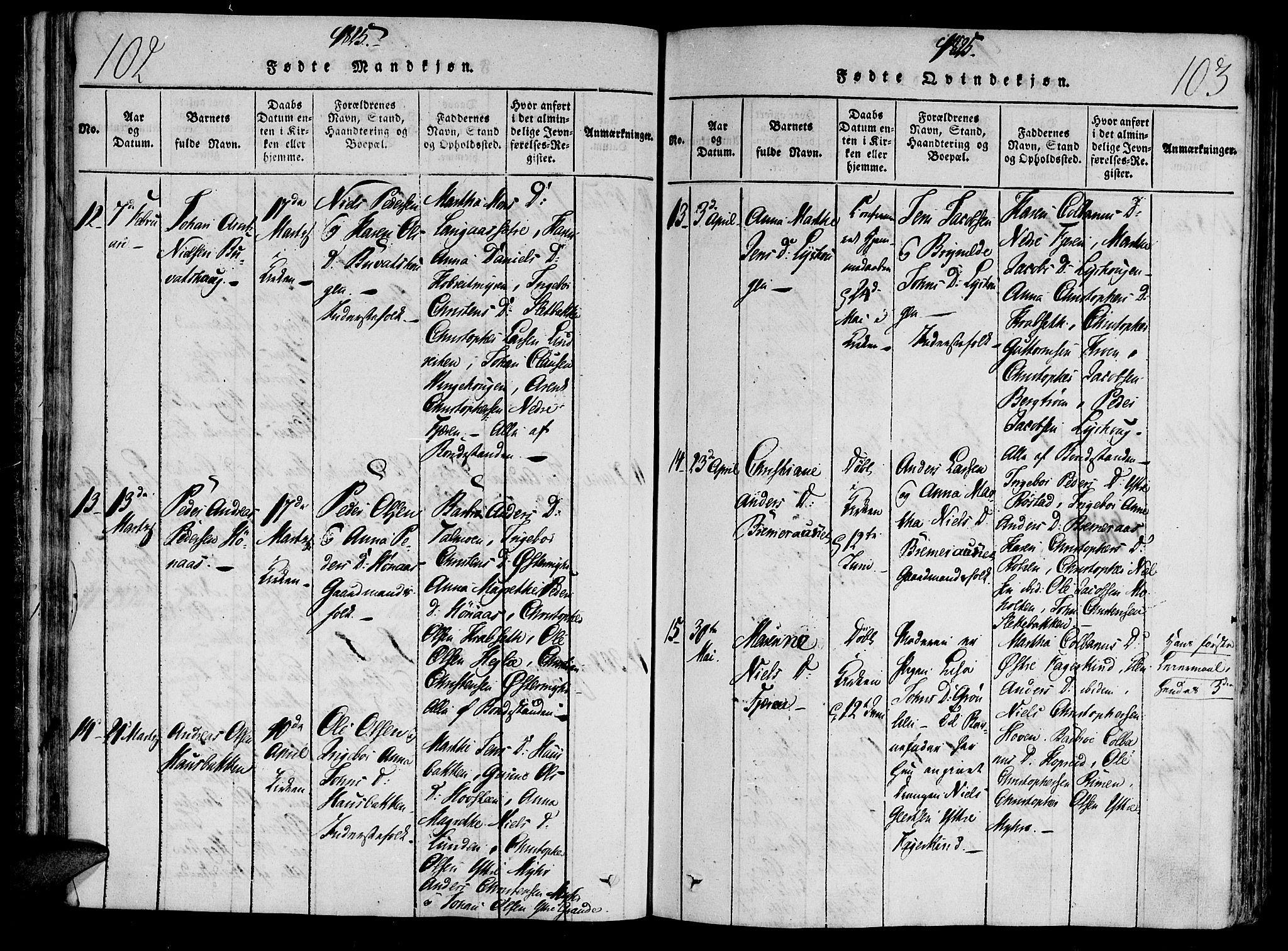 Ministerialprotokoller, klokkerbøker og fødselsregistre - Nord-Trøndelag, SAT/A-1458/701/L0005: Ministerialbok nr. 701A05 /1, 1816-1825, s. 102-103