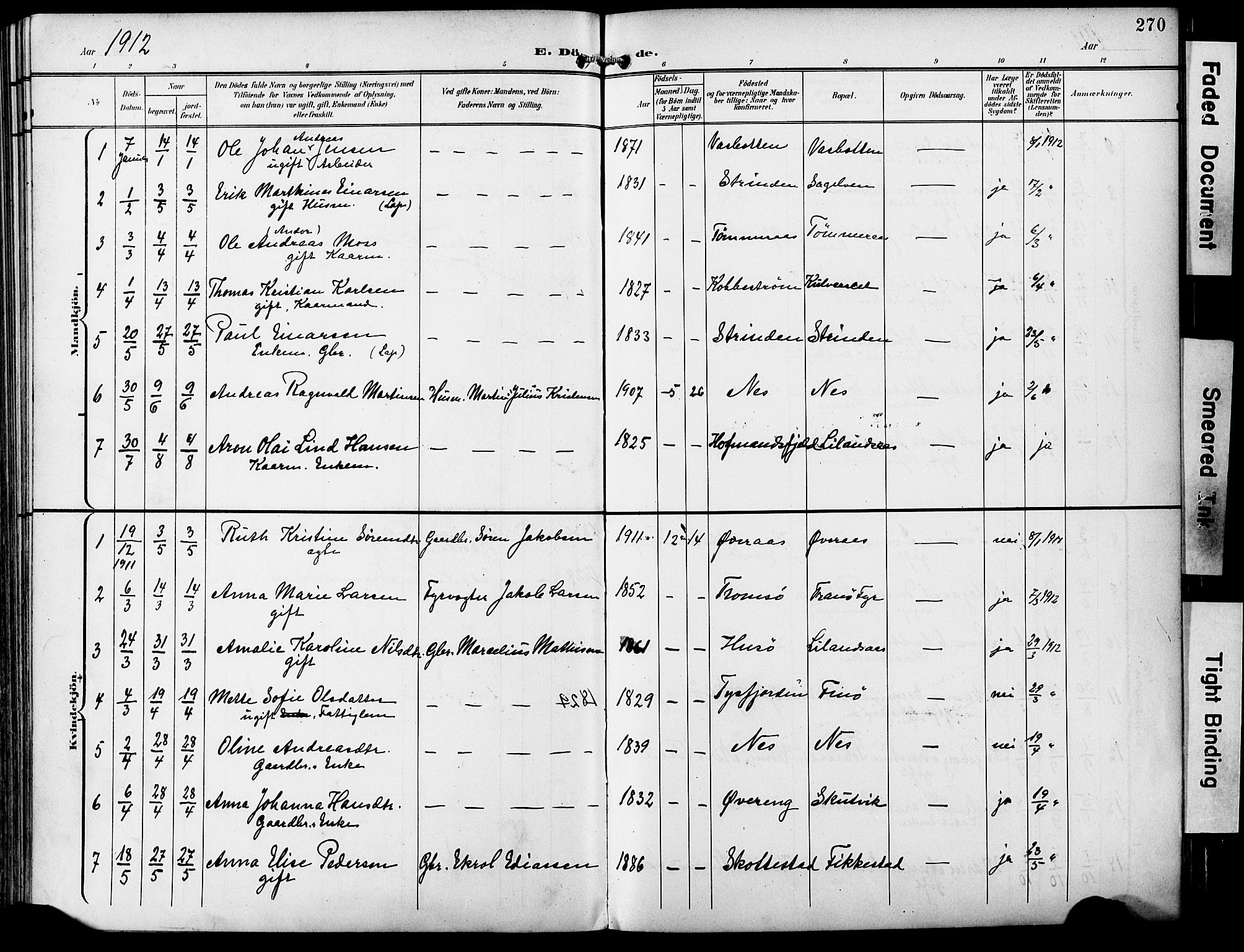 Ministerialprotokoller, klokkerbøker og fødselsregistre - Nordland, AV/SAT-A-1459/859/L0848: Ministerialbok nr. 859A08, 1900-1912, s. 270