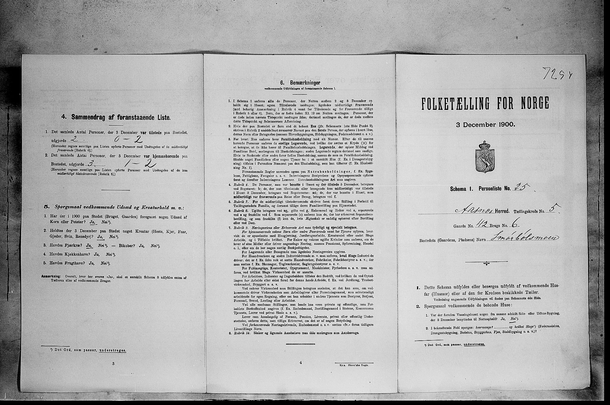 SAH, Folketelling 1900 for 0425 Åsnes herred, 1900, s. 901