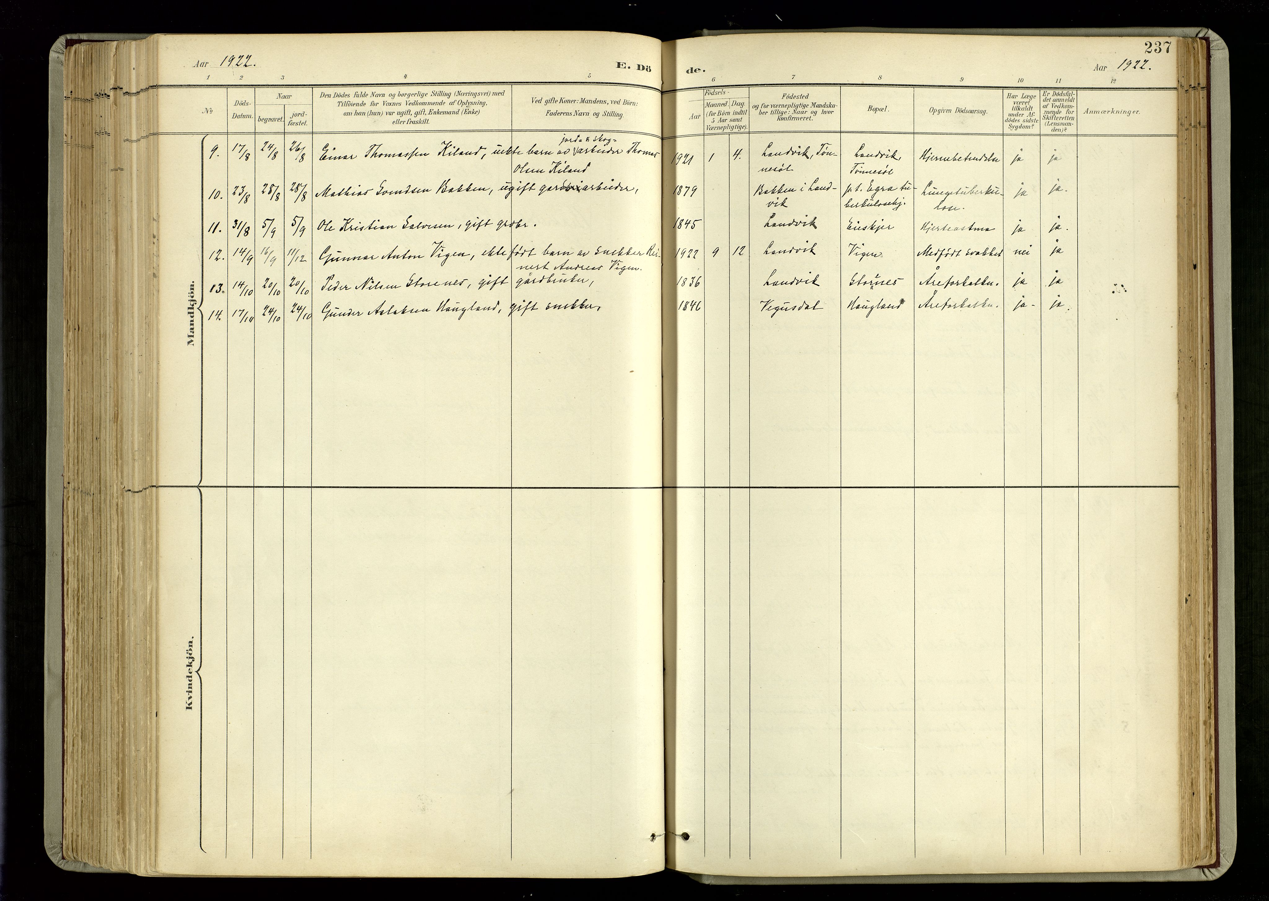 Hommedal sokneprestkontor, AV/SAK-1111-0023/F/Fa/Fab/L0007: Ministerialbok nr. A 7, 1898-1924, s. 237