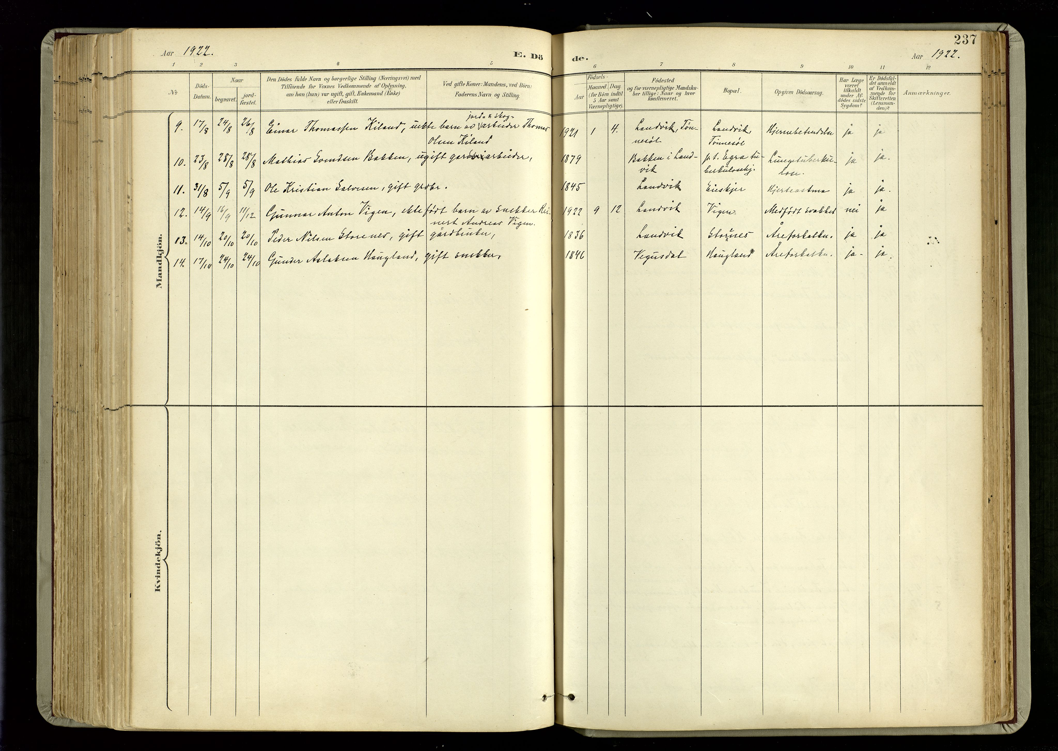 Hommedal sokneprestkontor, SAK/1111-0023/F/Fa/Fab/L0007: Ministerialbok nr. A 7, 1898-1924, s. 237