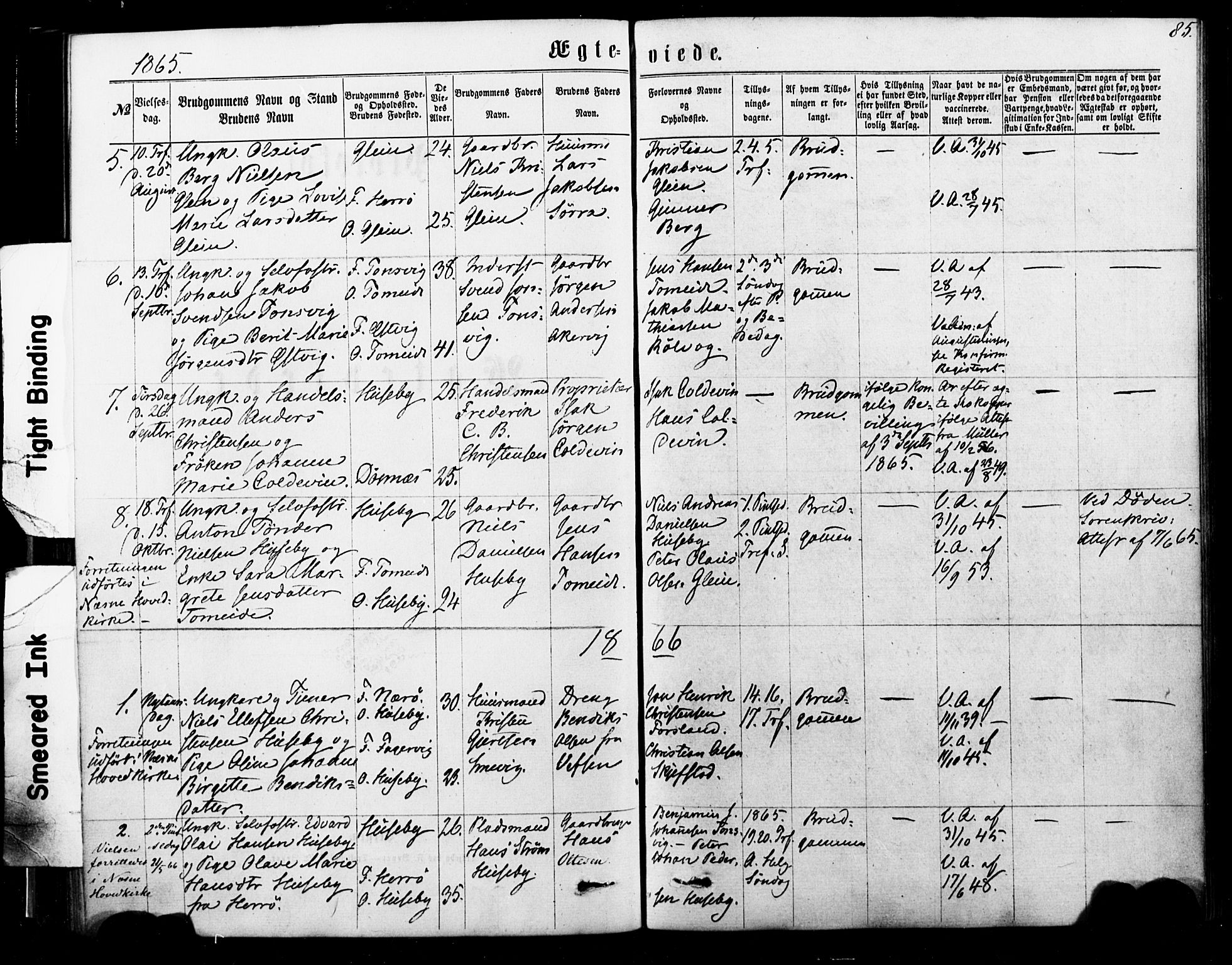 Ministerialprotokoller, klokkerbøker og fødselsregistre - Nordland, AV/SAT-A-1459/835/L0524: Ministerialbok nr. 835A02, 1865-1880, s. 85