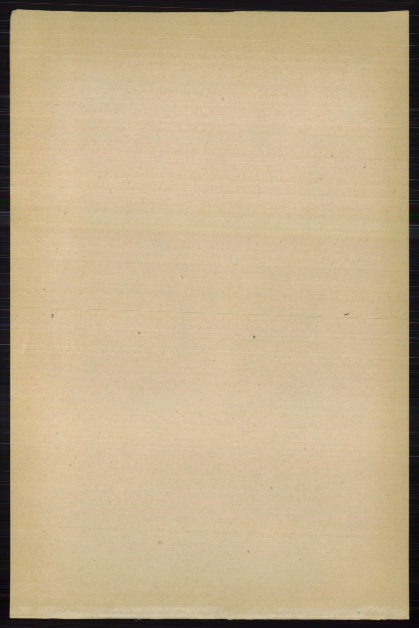 RA, Folketelling 1891 for 0540 Sør-Aurdal herred, 1891, s. 2397