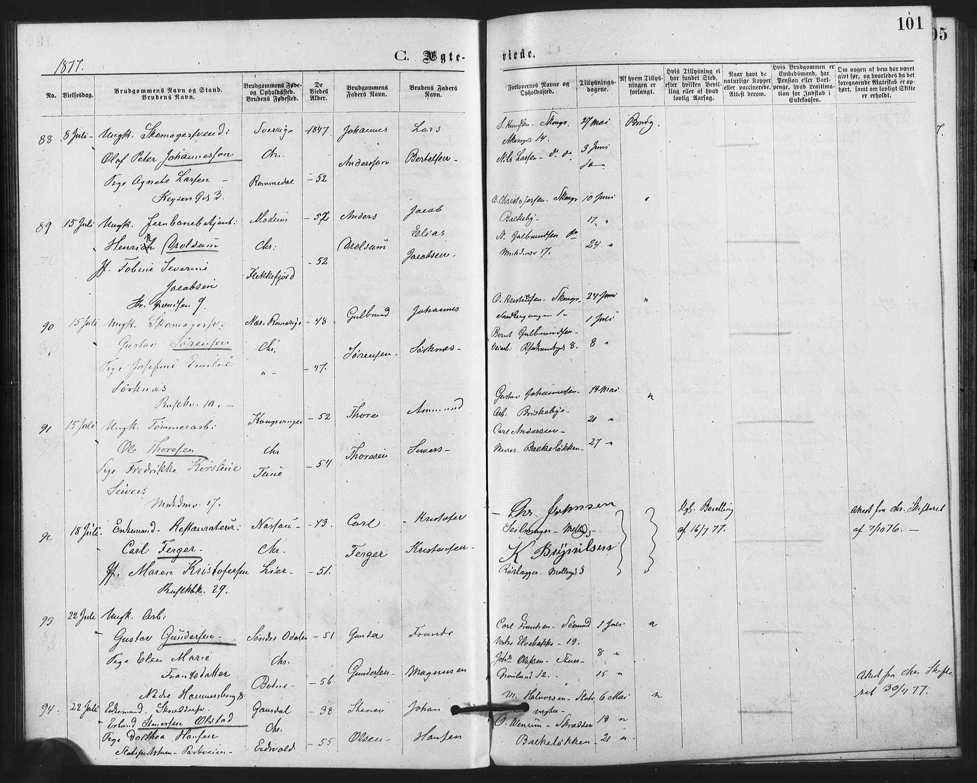 Trefoldighet prestekontor Kirkebøker, AV/SAO-A-10882/F/Fc/L0002: Ministerialbok nr. III 2, 1874-1881, s. 101