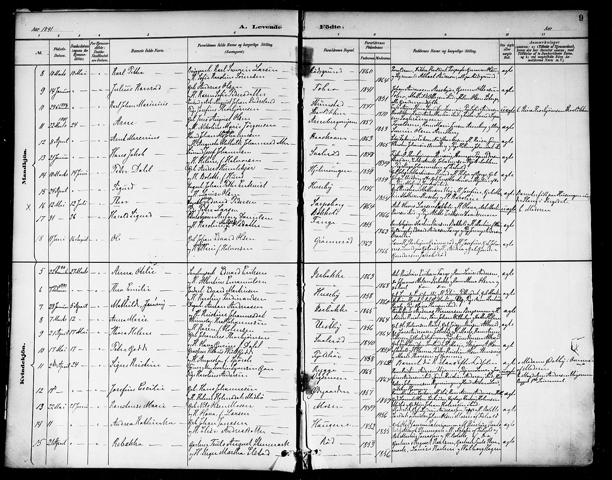 Berg prestekontor Kirkebøker, AV/SAO-A-10902/F/Fa/L0007: Ministerialbok nr. I 7, 1888-1902, s. 9