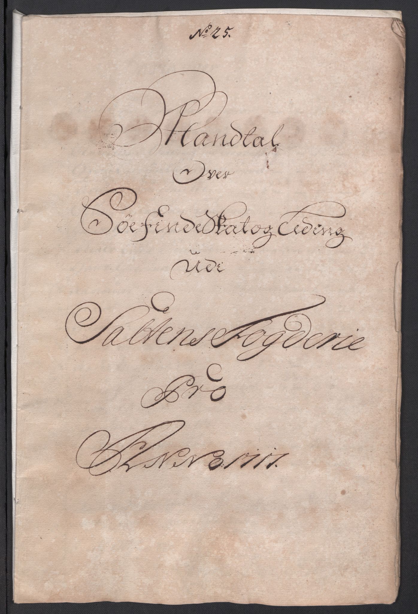 Rentekammeret inntil 1814, Reviderte regnskaper, Fogderegnskap, RA/EA-4092/R66/L4587: Fogderegnskap Salten, 1717, s. 272